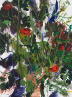 Yokneam 5