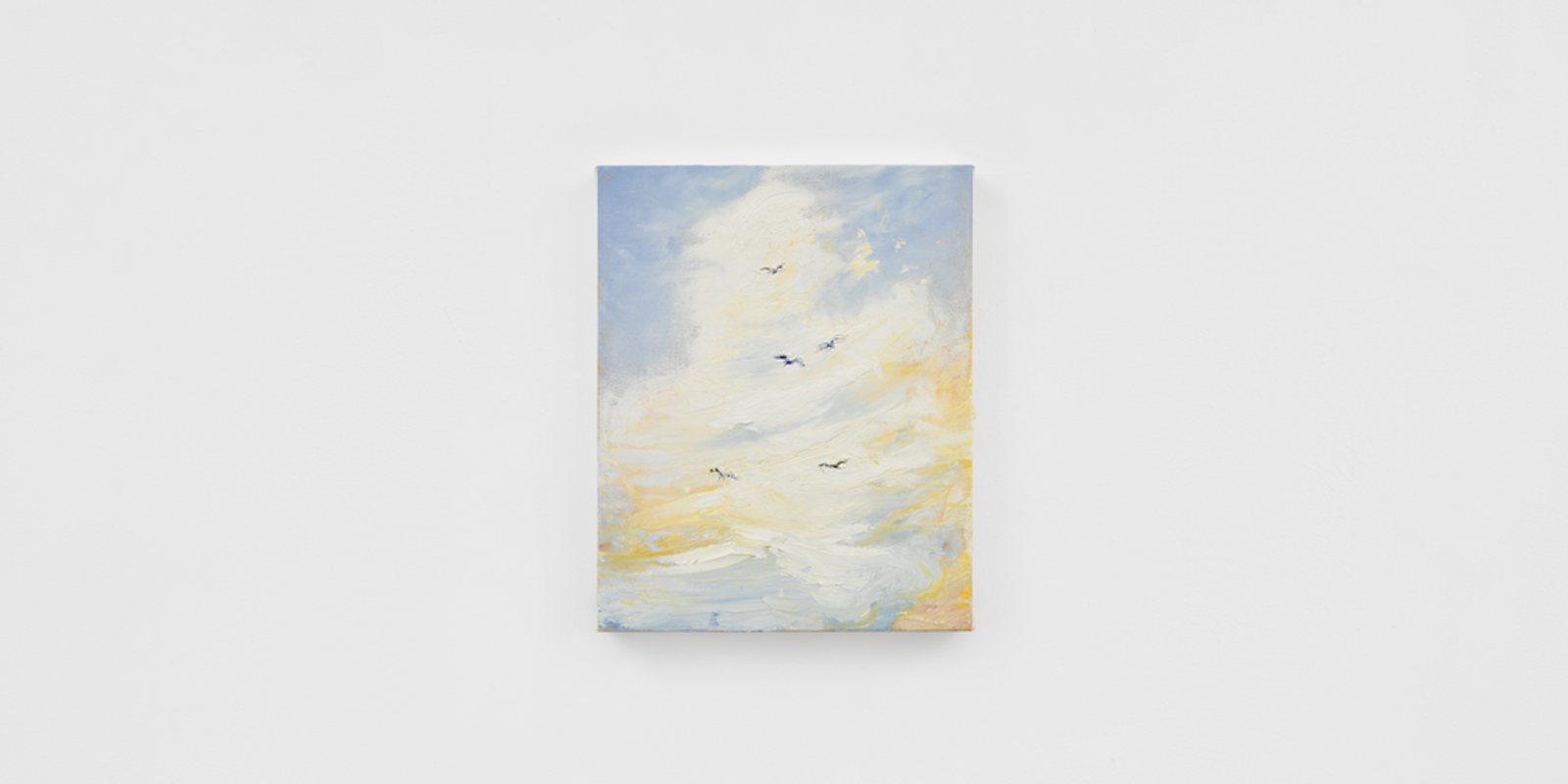 Skying Birds