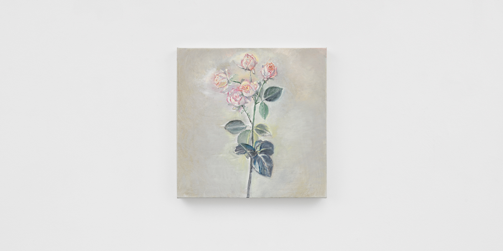 Pink Rosebuds
