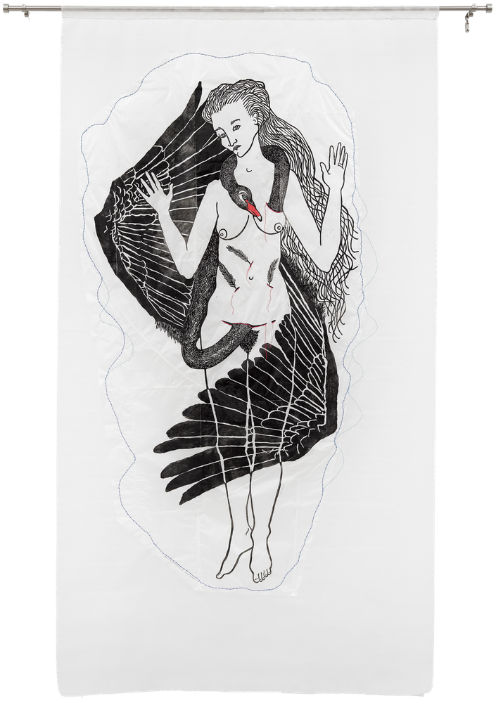 Black Swan Infiltration