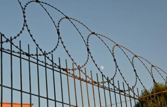 Alytuje pasieniečių dieną pareigūnai vardija naujus migrantų metodus