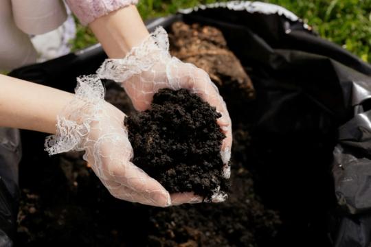 Veja sudygo tankesnė nei tikėtasi: viską nulėmė dirvožemis