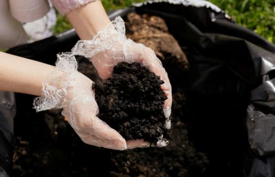 Veja sudygo tankesnė nei tikėtasi: viską nulėmė dirvožemis