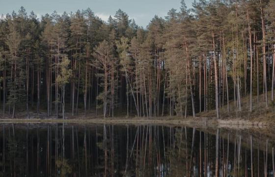 „Dzūkijos vandenys" dairosi elektros inžinieriaus ir automatikos specialisto — ir siūlo sąlygas, dėl kurių verta pasilik