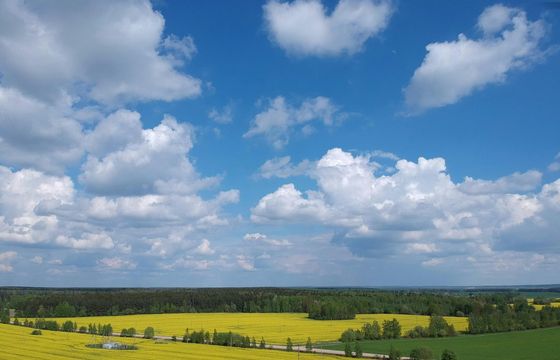 Termometrai rodo 23, o po dviejų dienų — 13: sinoptikas paaiškino, kas atsitiko