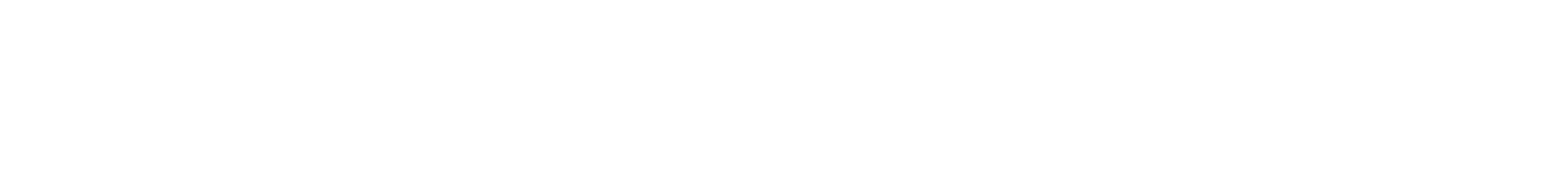 NQiX 500