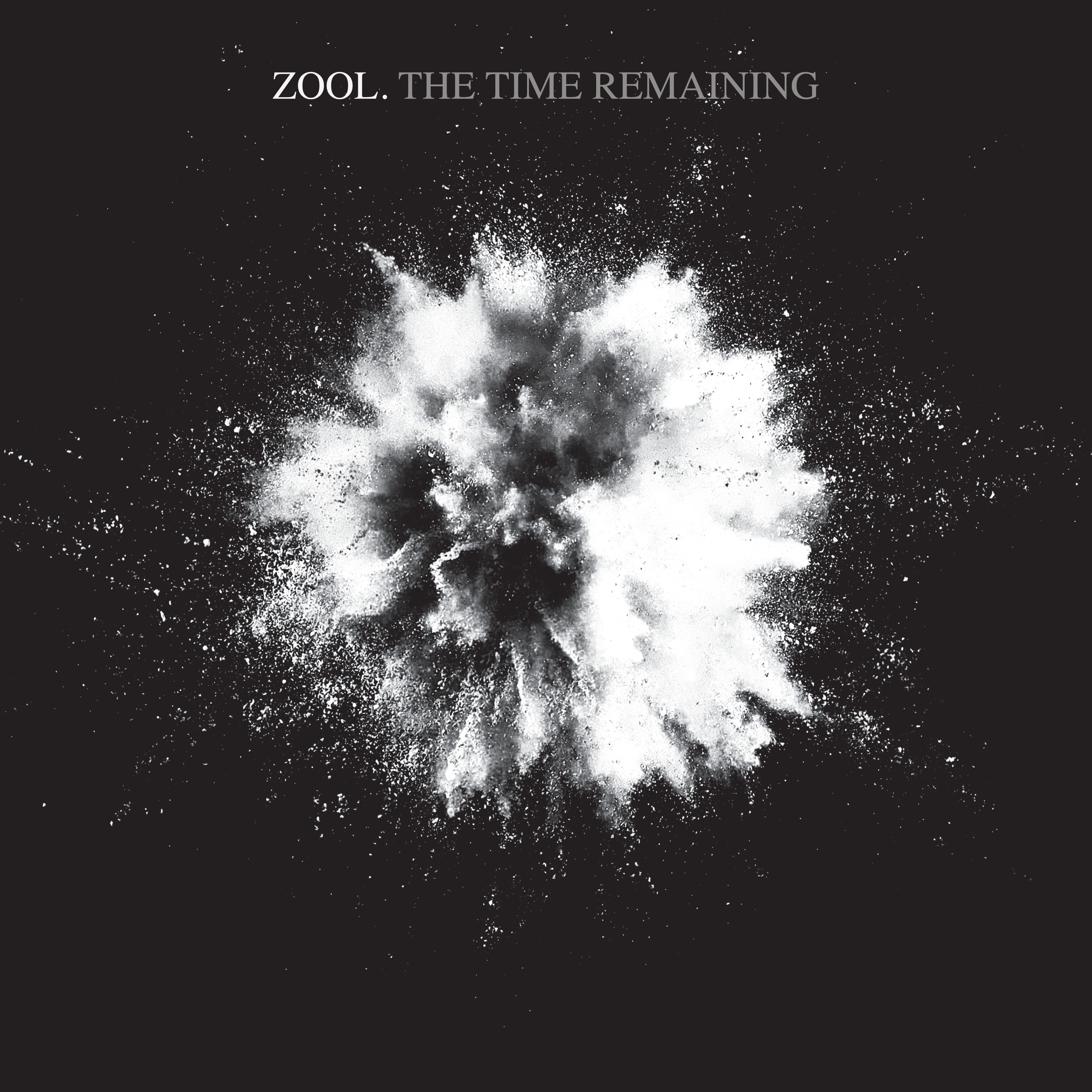 Zool. - The Time Remaining front cover