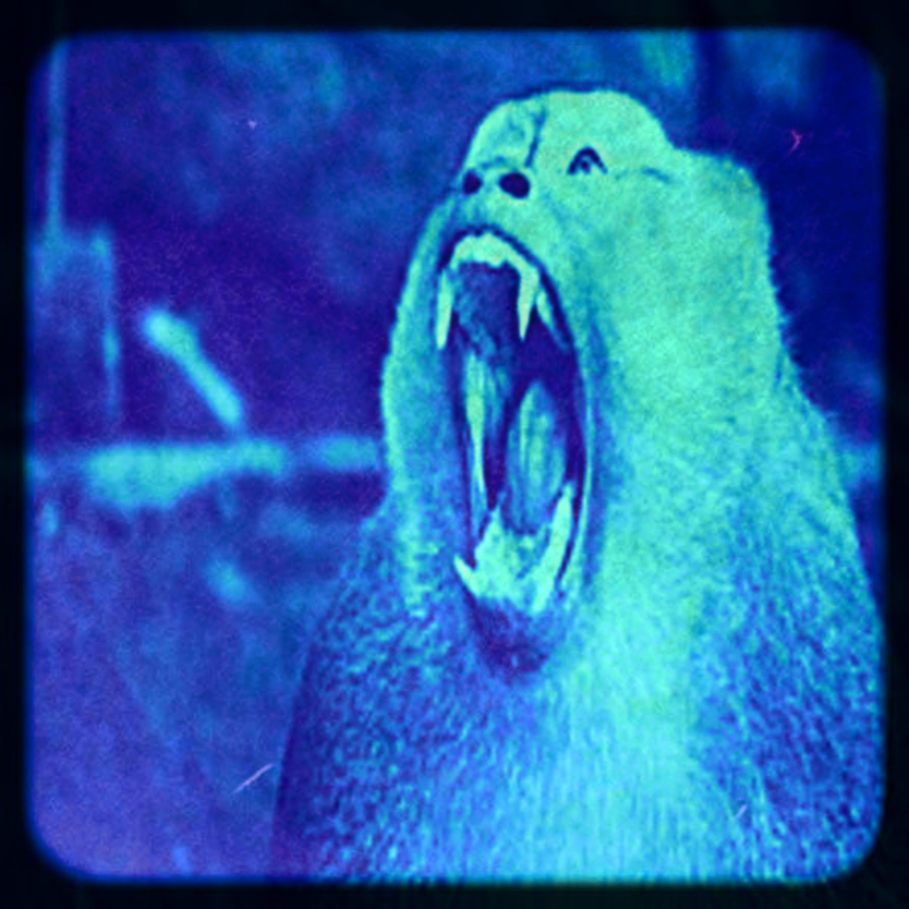 Blue Gorilla - Dead End Street front cover