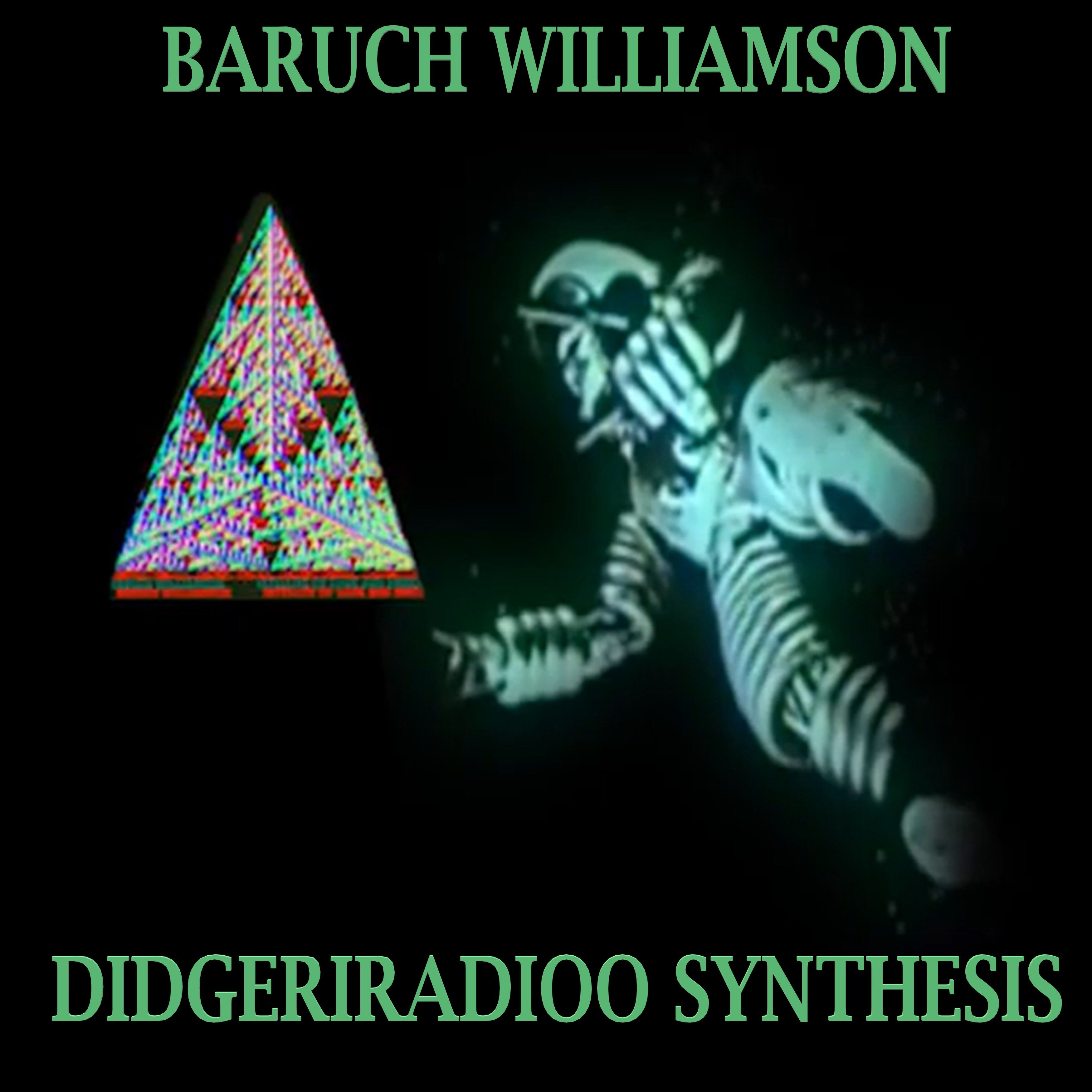 Baruch Williamson - Didgeriradioo Synthesis front cover