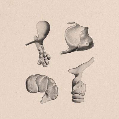HEISA - HEISA front cover