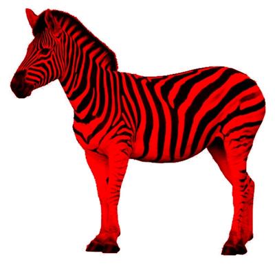 Red Zebra | Wagonmaniac