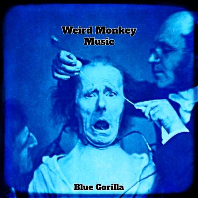 Blue Gorilla - Weird Monkey Music front cover