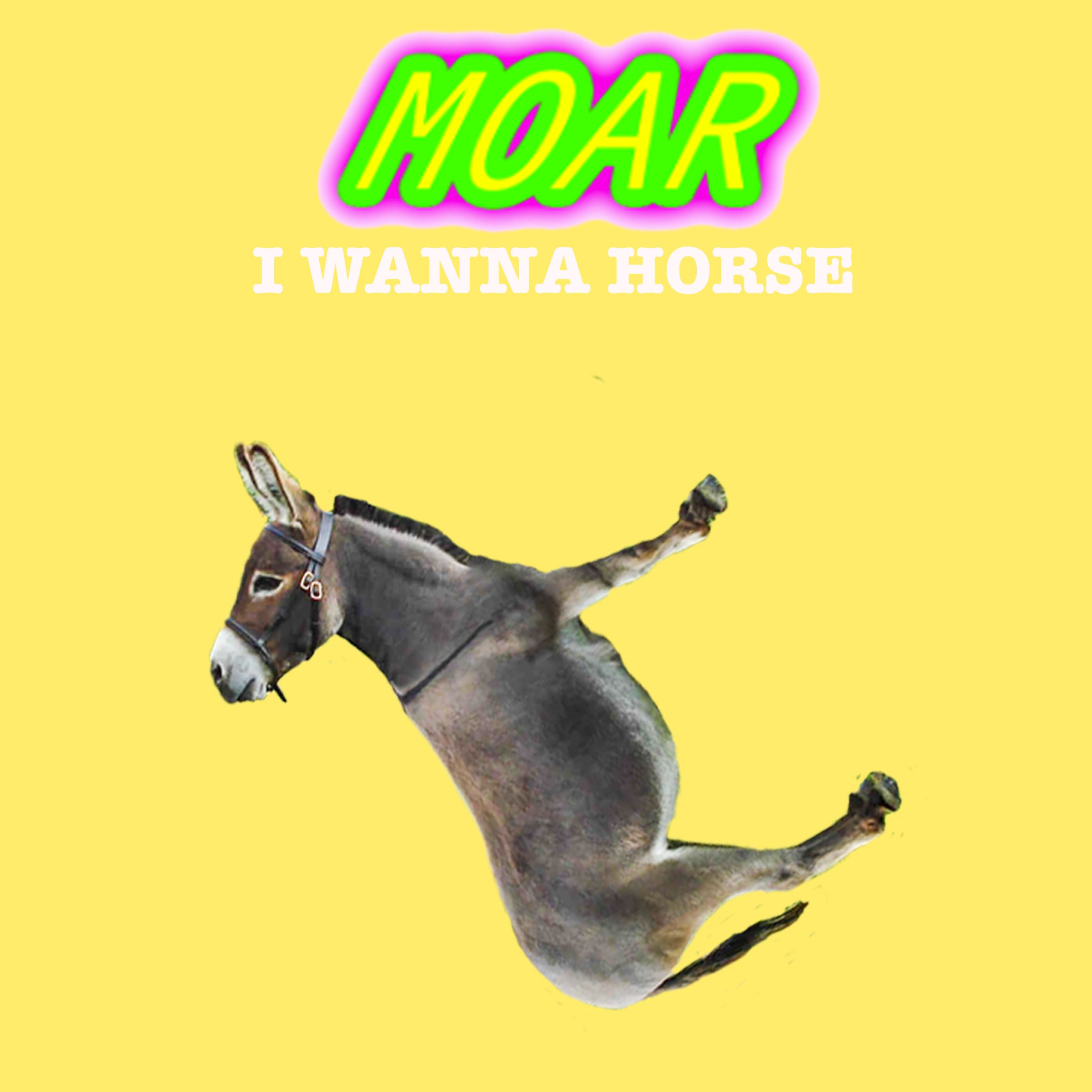 MOAR - I Wanna Horse front cover