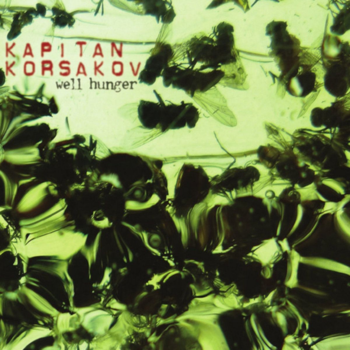 Kapitan Korsakov - Well Hunger front cover