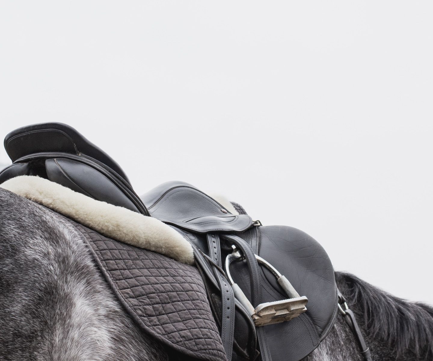 Close up of leather saddle