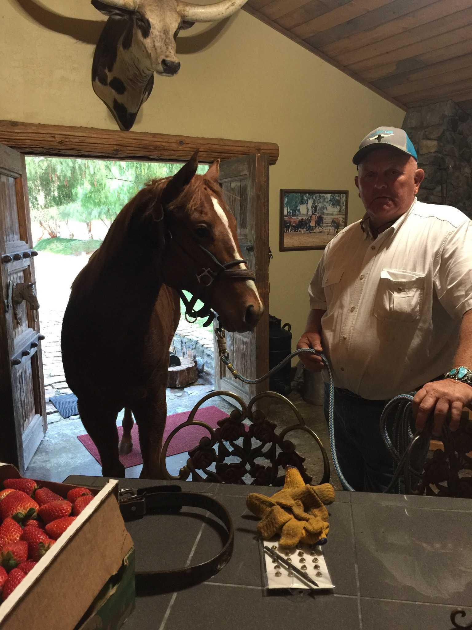 natural horsemanship trainer Allen Clarke with horse