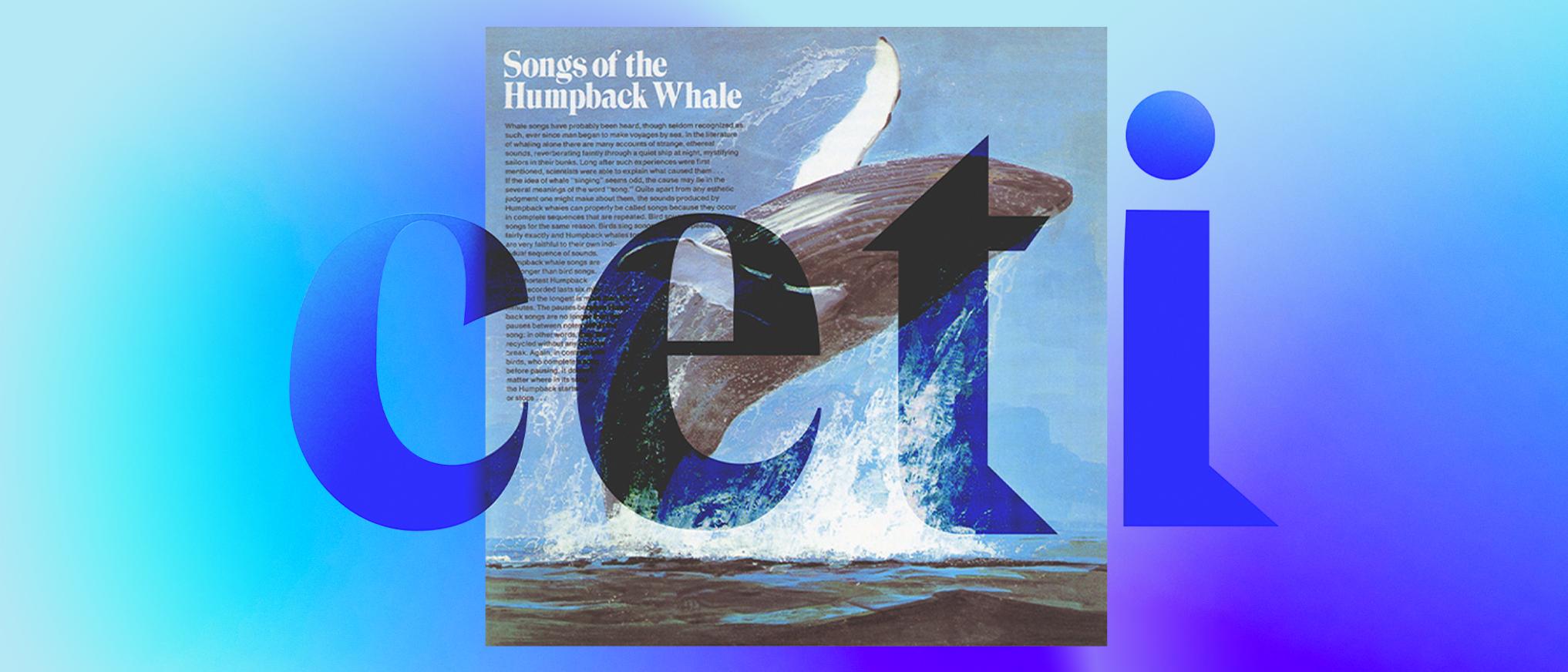 Branding by Project CETI