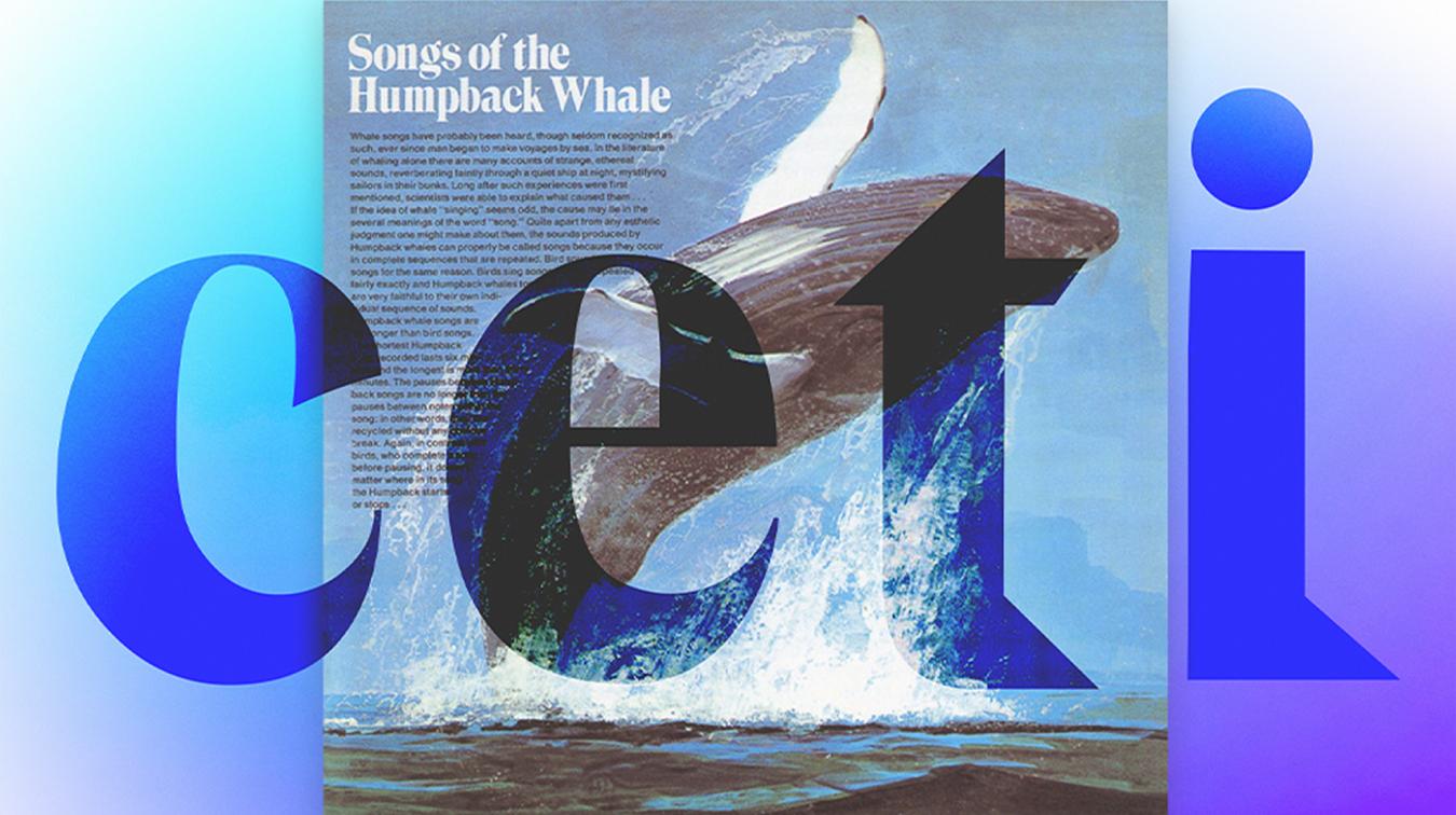 Branding by Project CETI