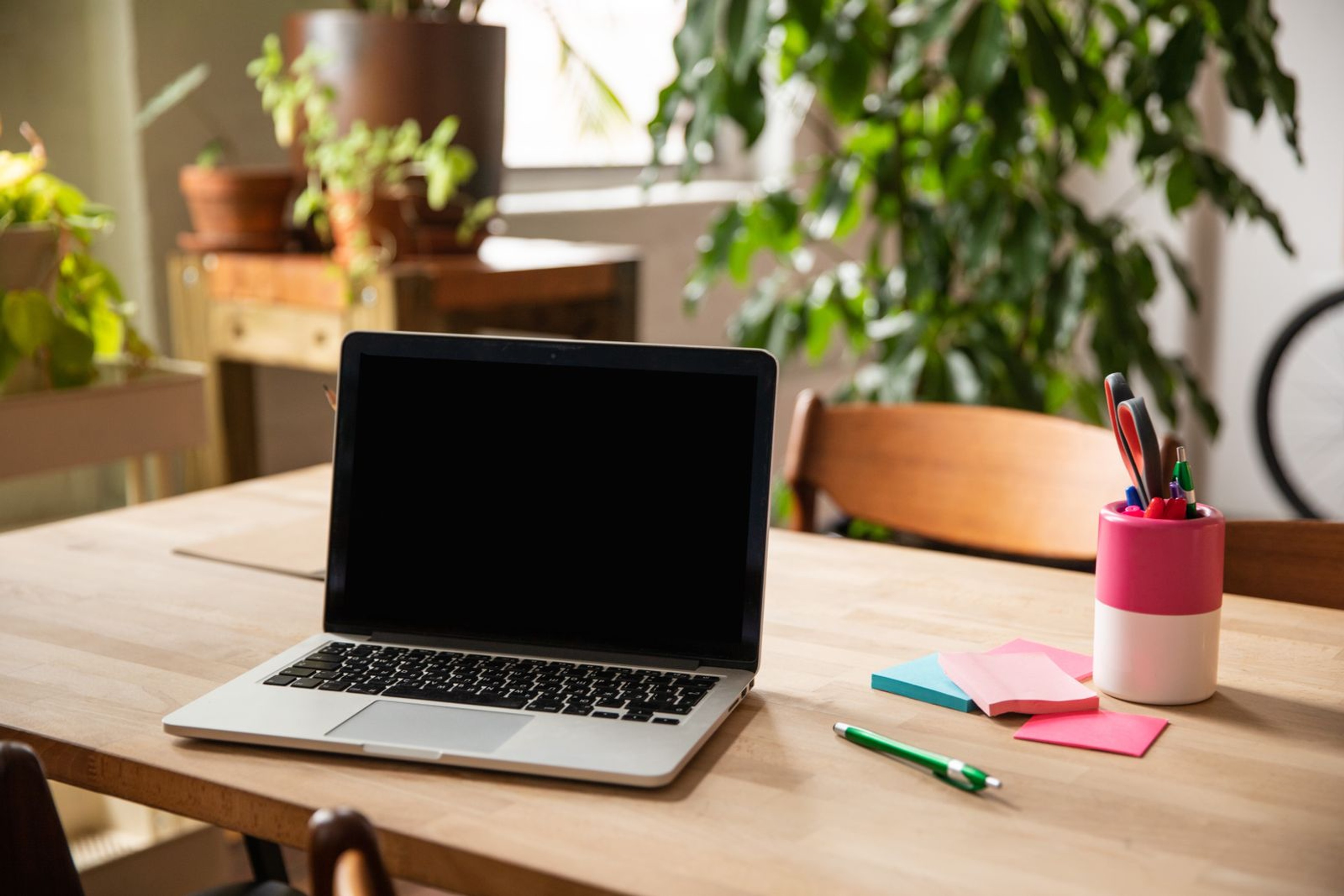 Small business workspace with a laptop, house plants and notebooks on a wooden desk