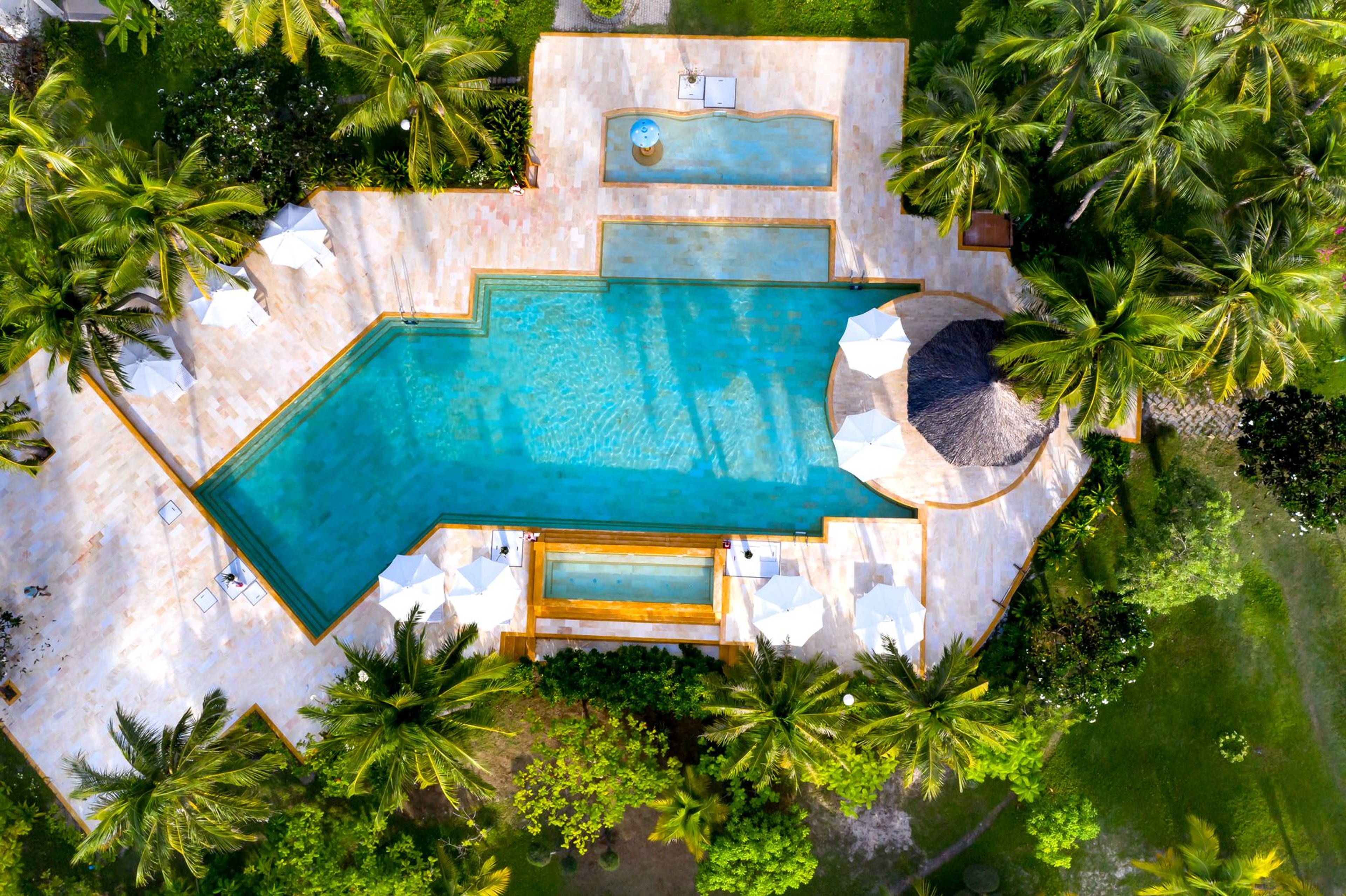 Aerial view of a hotel swimming pool surrounded by palm trees