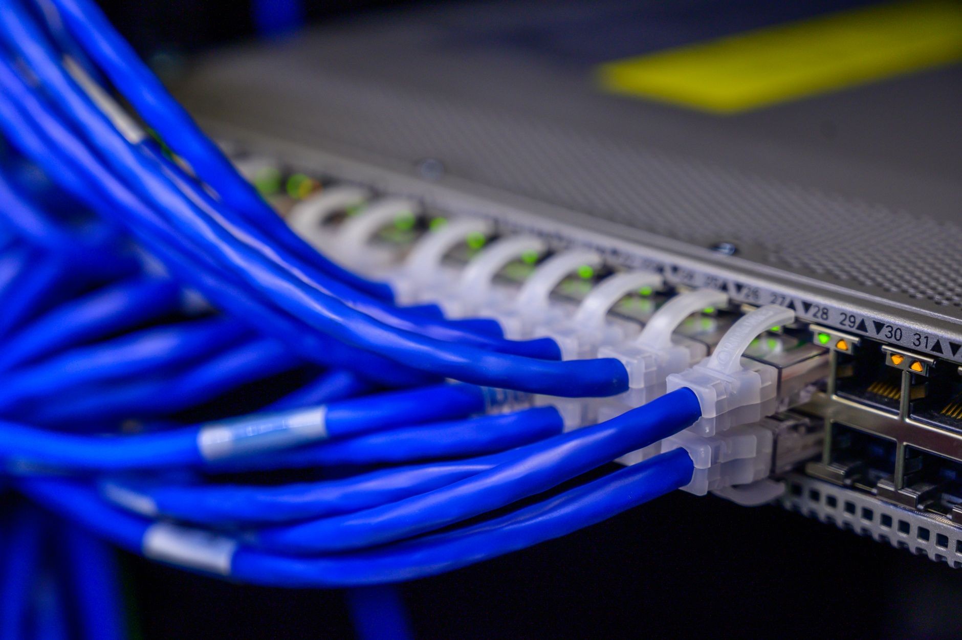 Blue ethernet cables plugged into a network switch in close-up