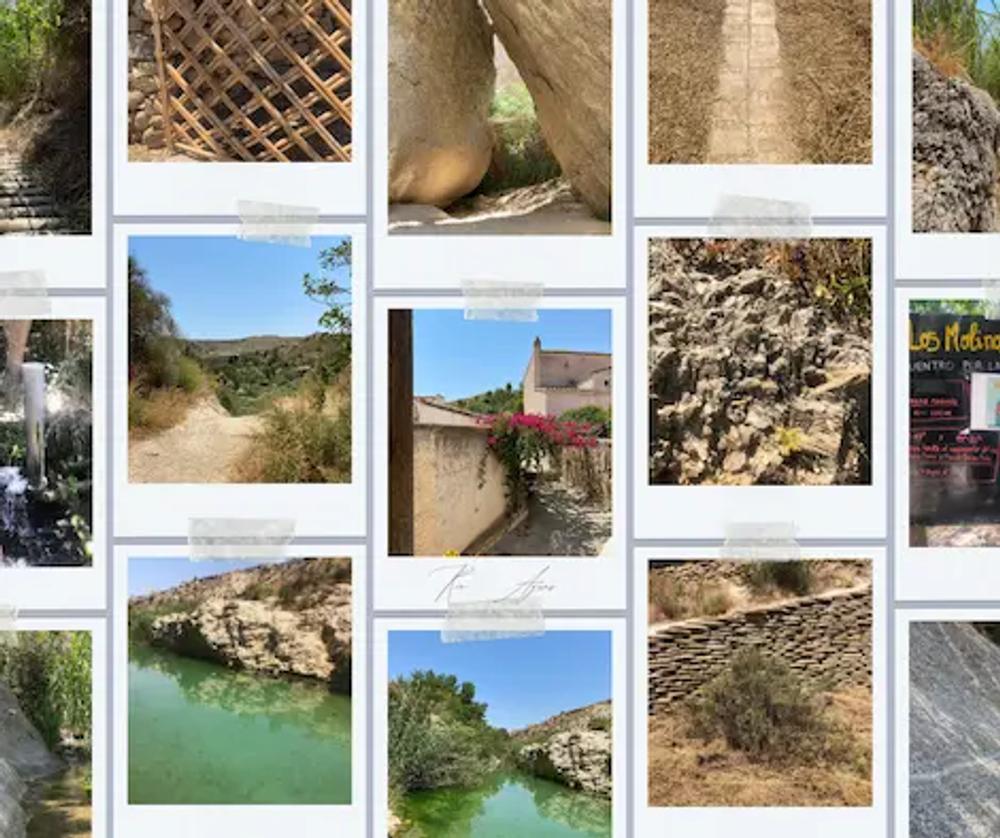 Photos of the walk turned into a collage