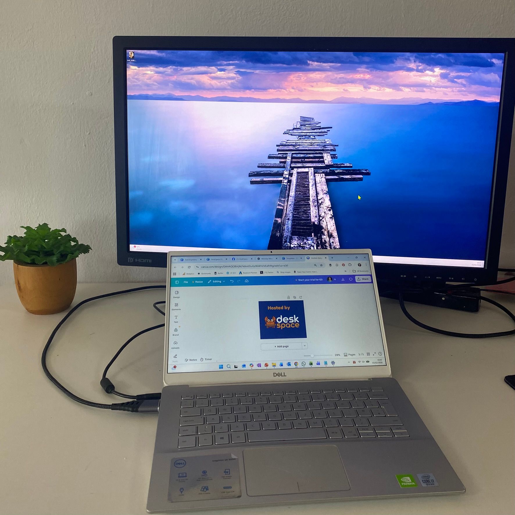 External Monitor and Mouse Settings
