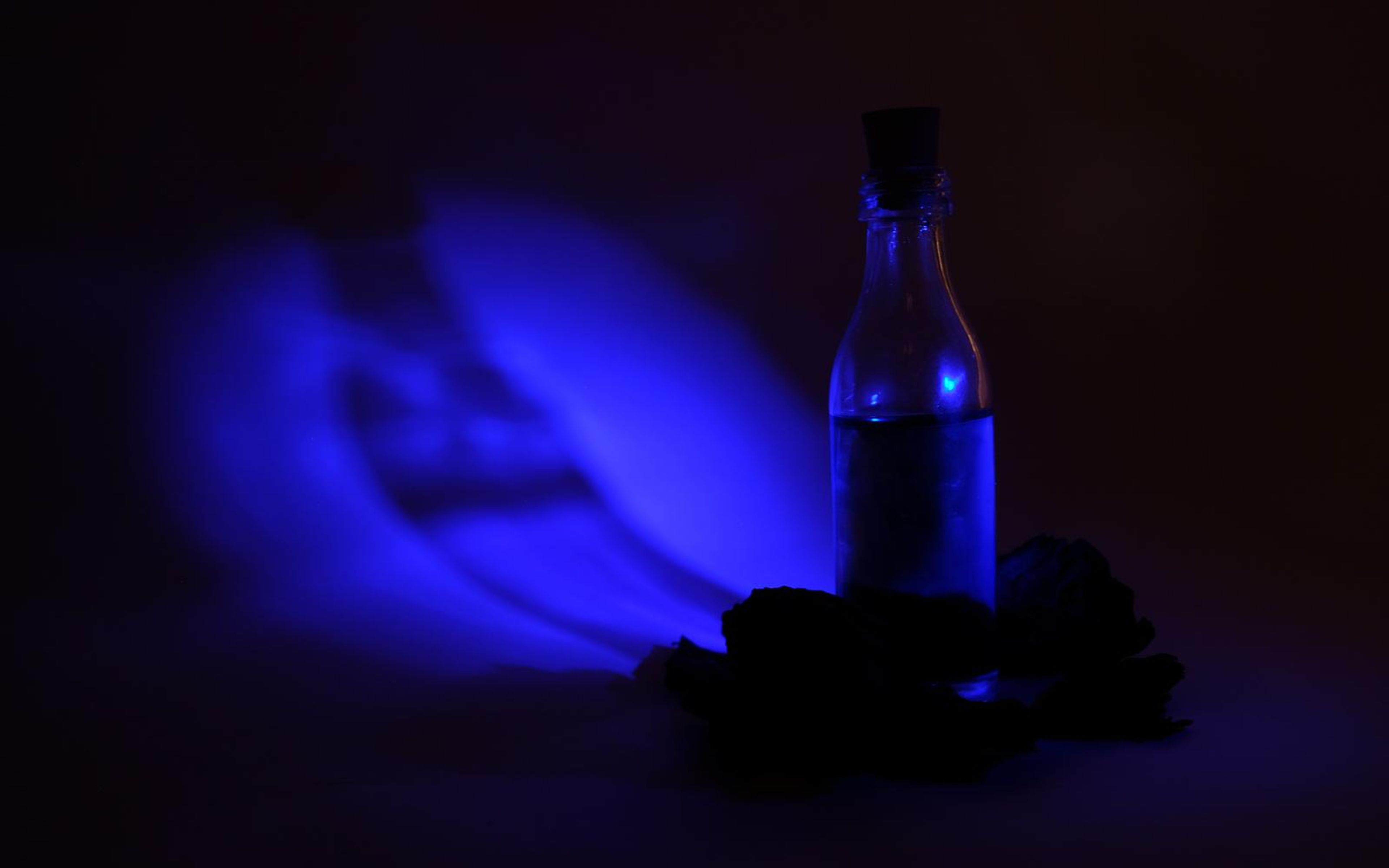 Bottle and dried roses in deep violet-blue light with a soft blue glow across the backdrop