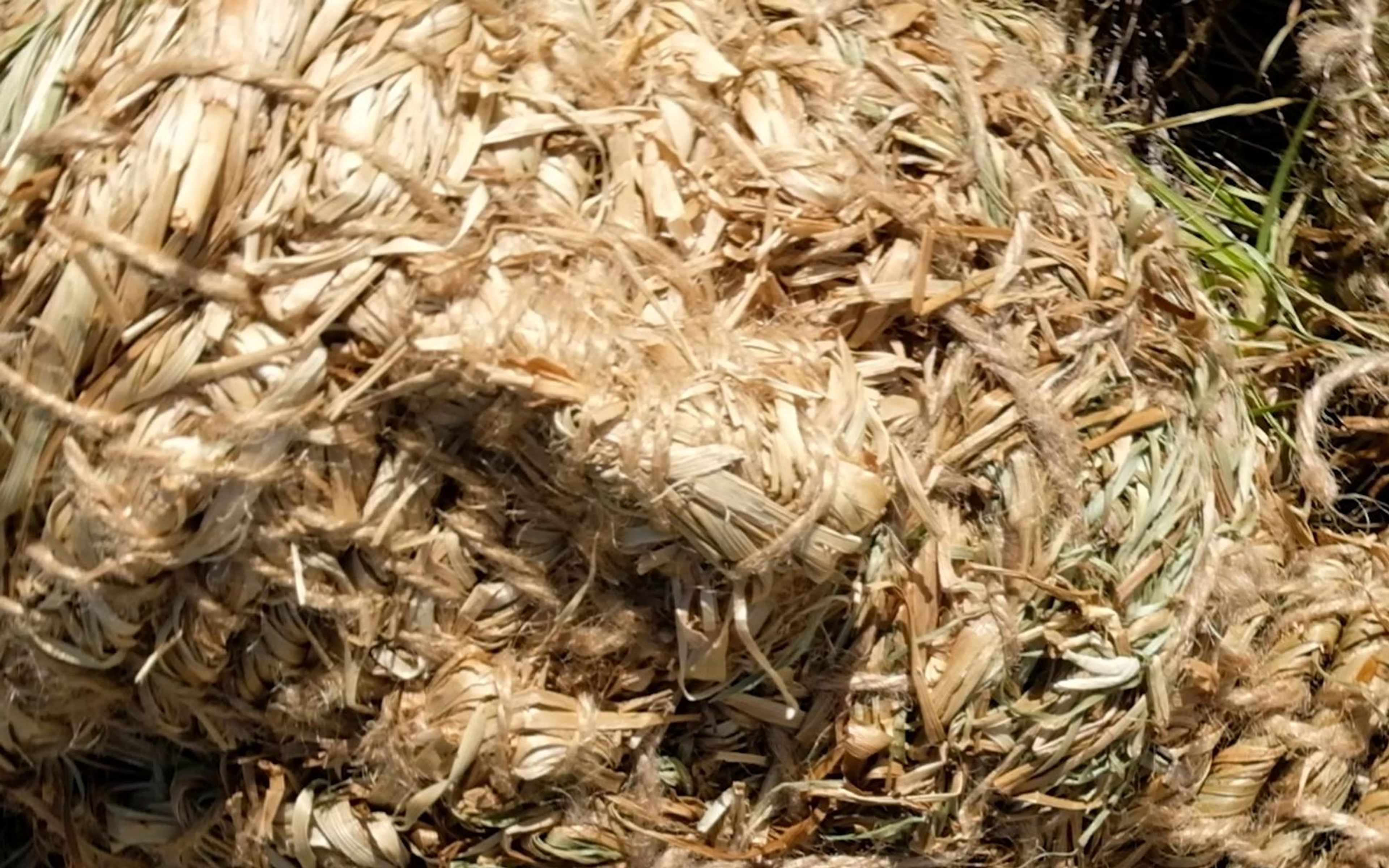 Close detail of coiled straw weave on the grass figure