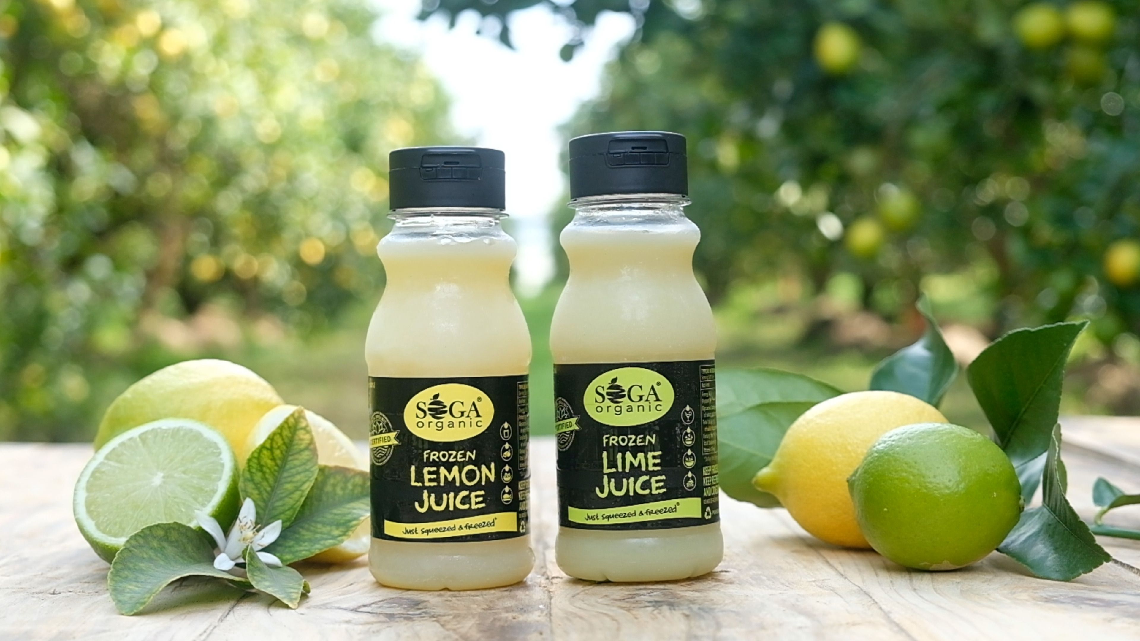 Two small SOGA frozen lemon and lime juice bottles with whole and halved lemons and limes