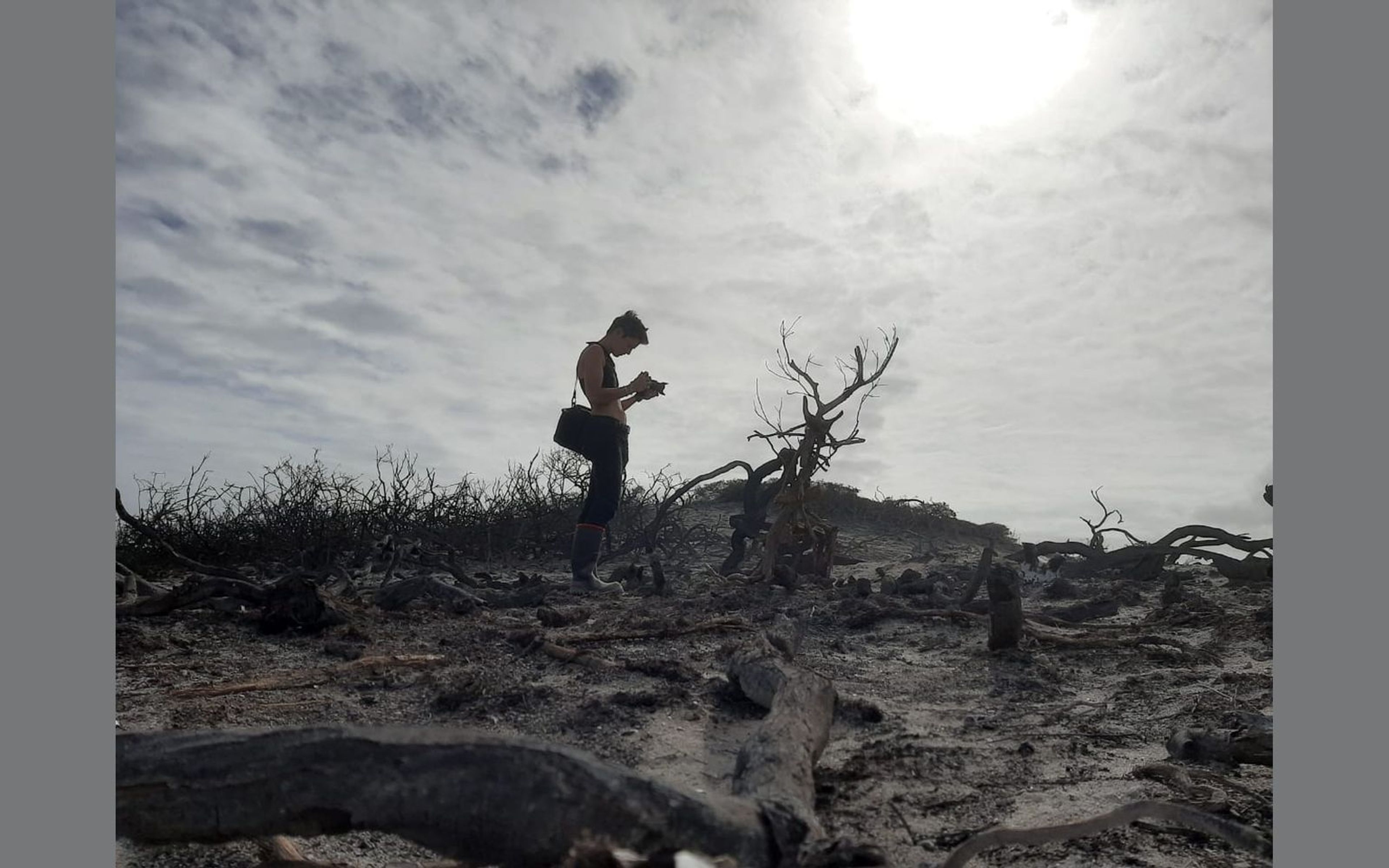 Low angle of a person checking a camera under a bright overcast sky, burnt scrub and a dead tree beside