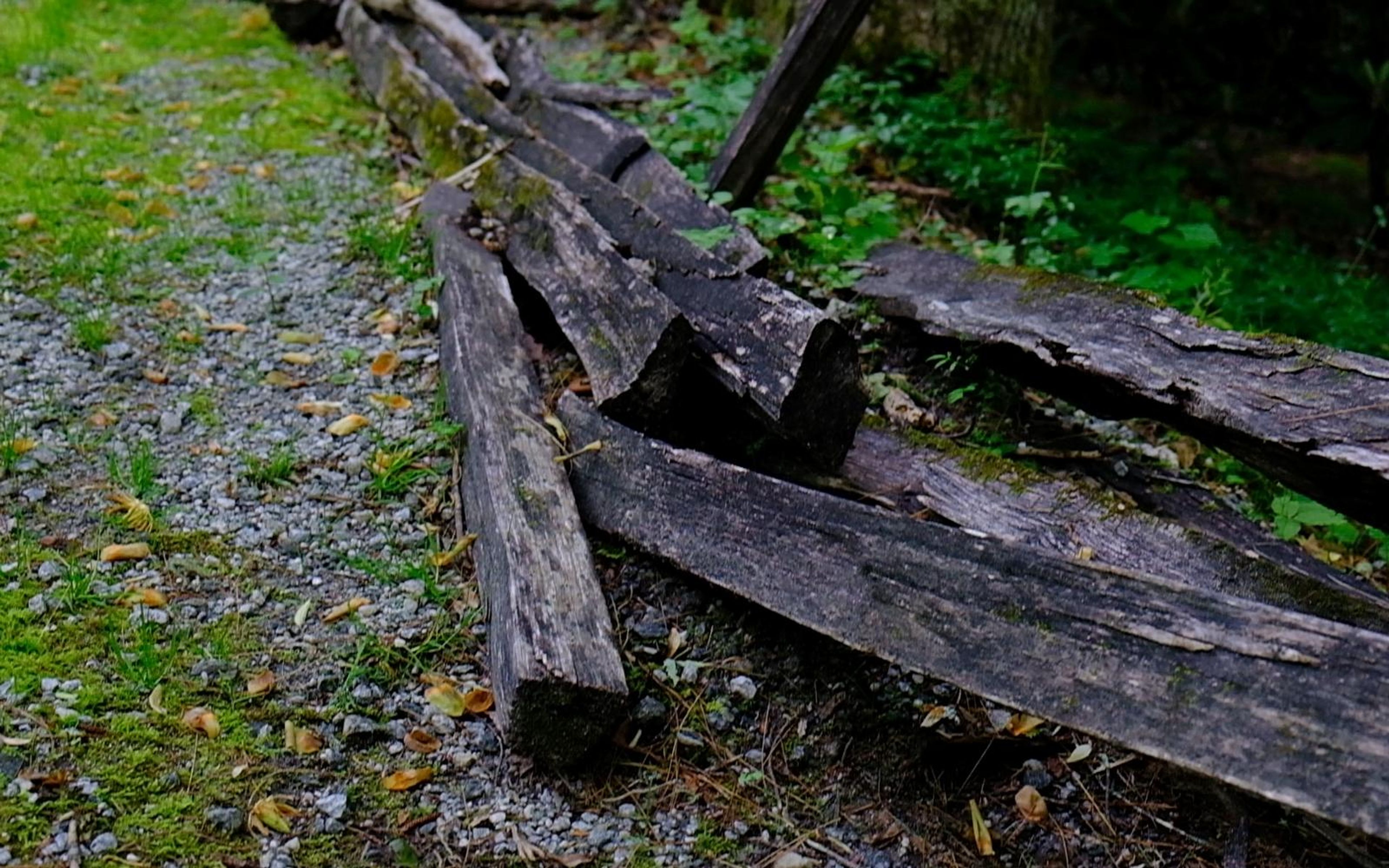 Weathered split-rail fence logs lying beside a gravel path and moss