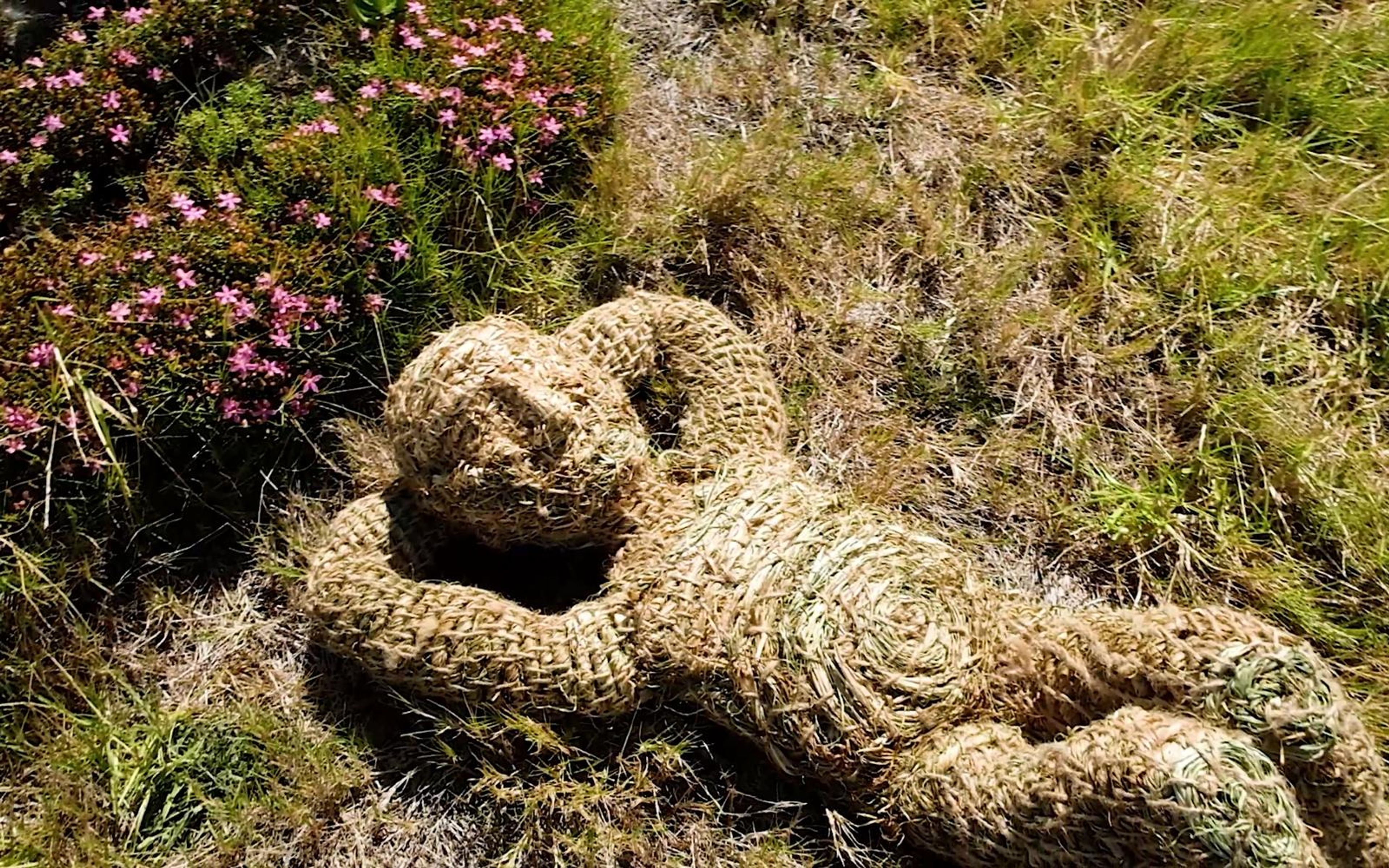 Woven grass figure lying back with a hand behind its head beside pink flowering shrubs