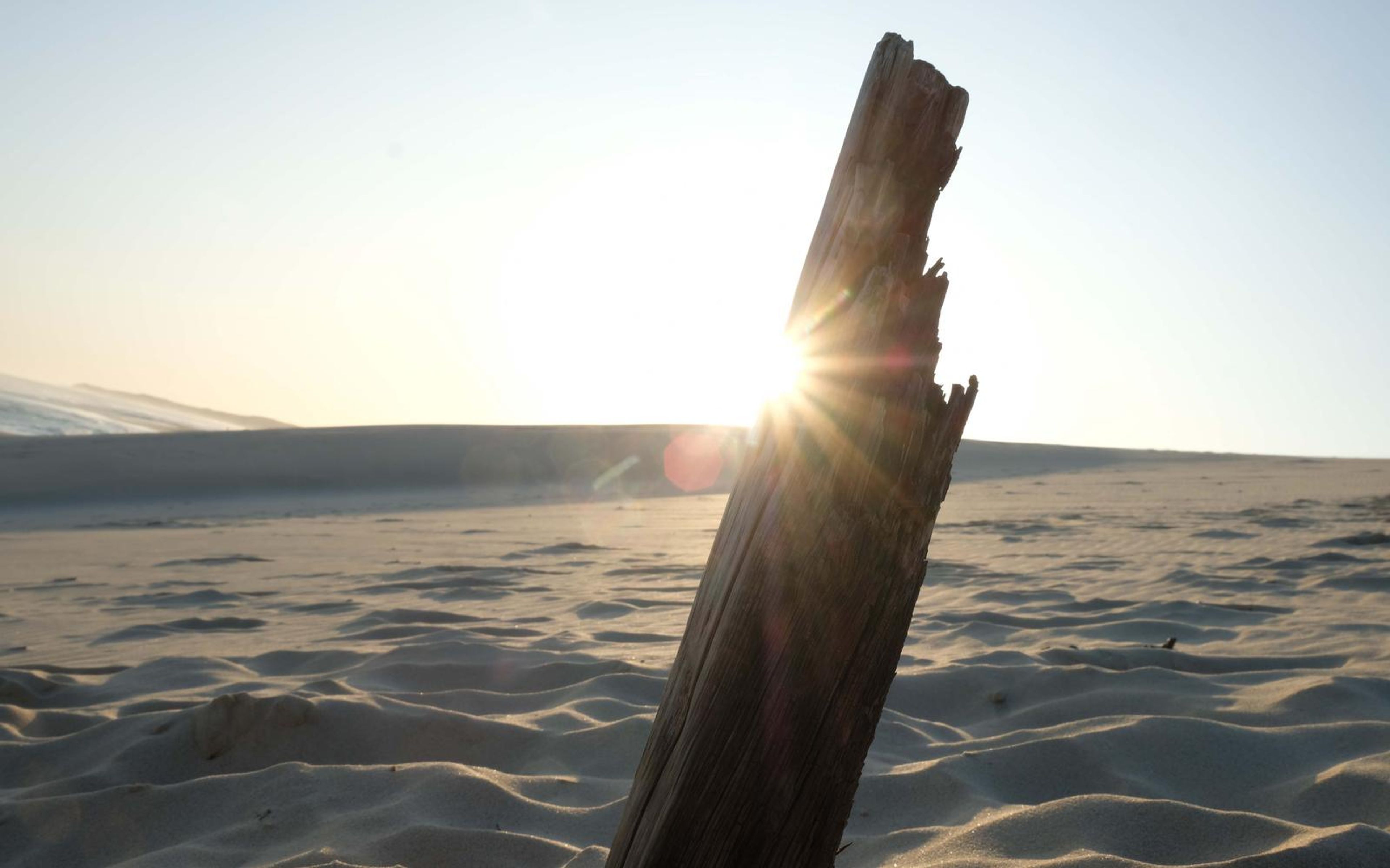 Sun starburst behind a splintered driftwood post on the sand