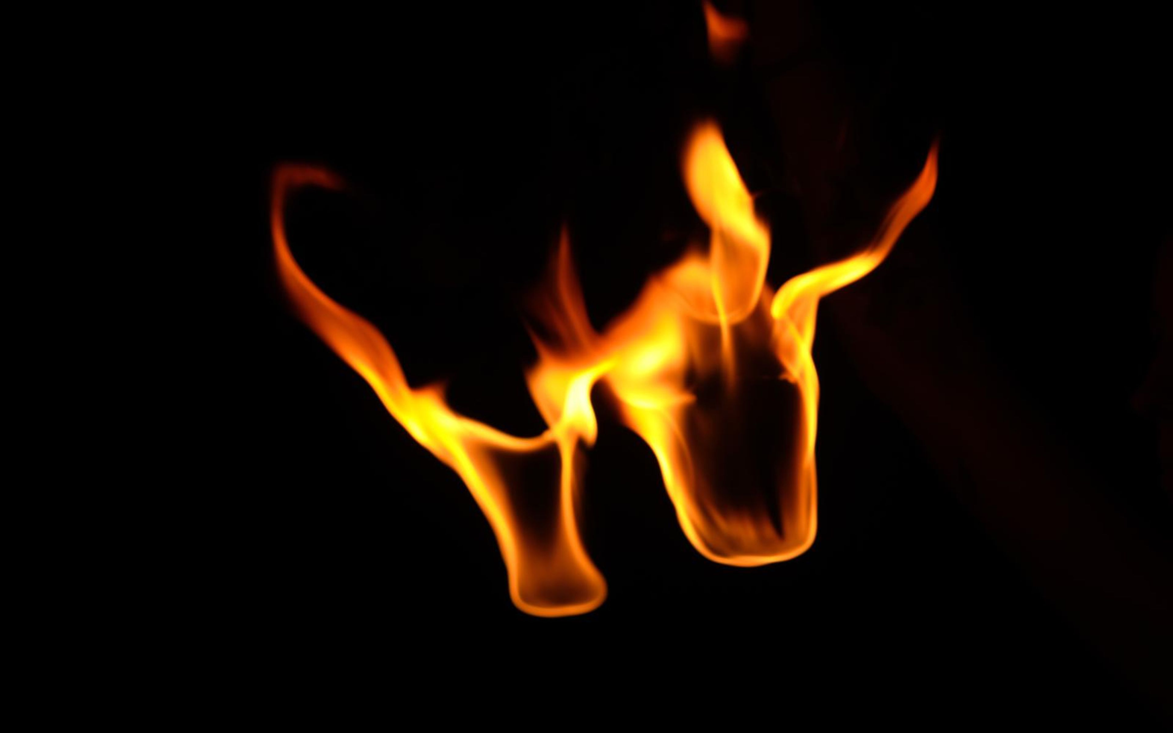 Wide flame with curling tendrils reaching out to both sides above two bases