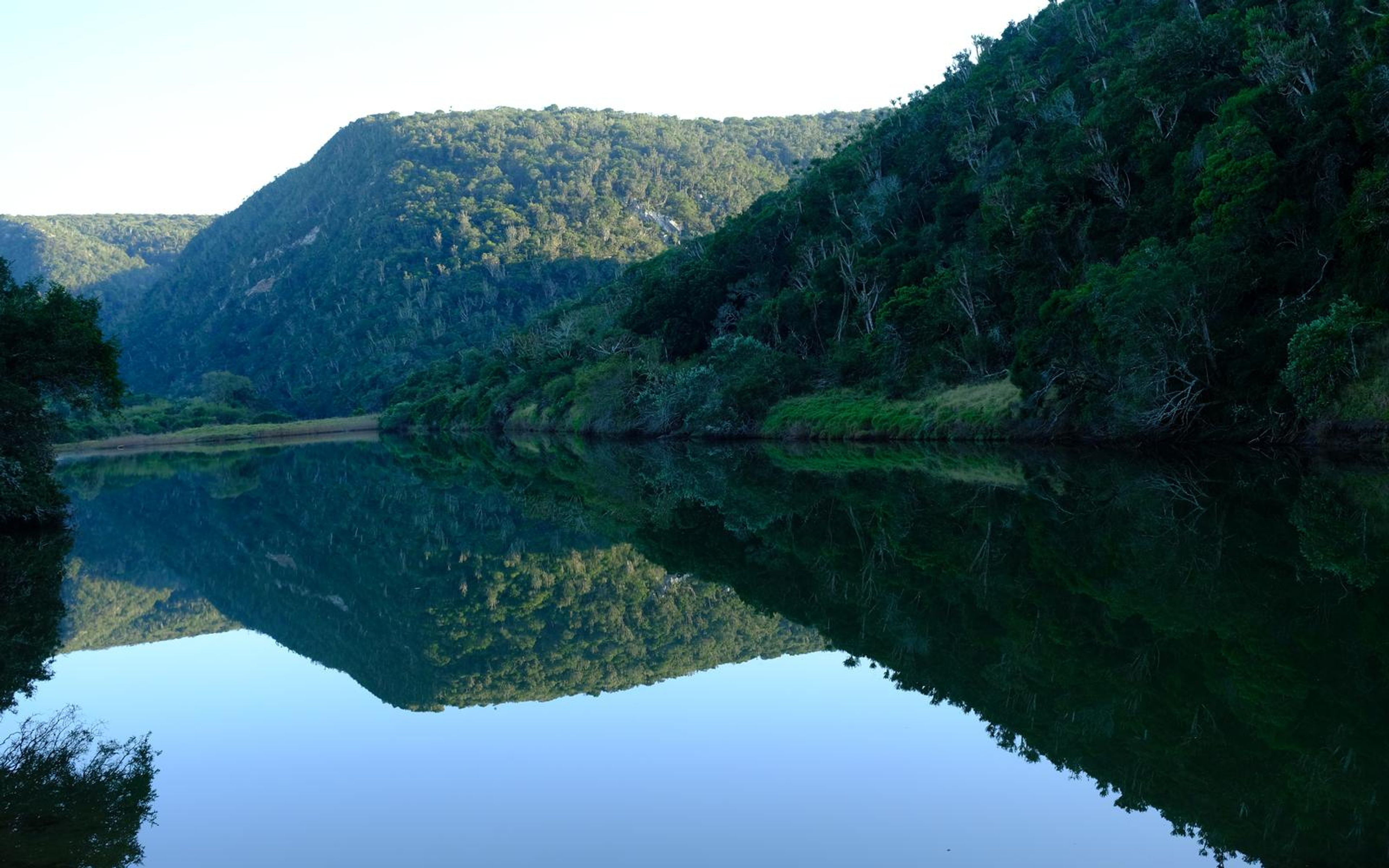 Tree-covered hills reflected in glassy water, with a sandy bank at the far edge