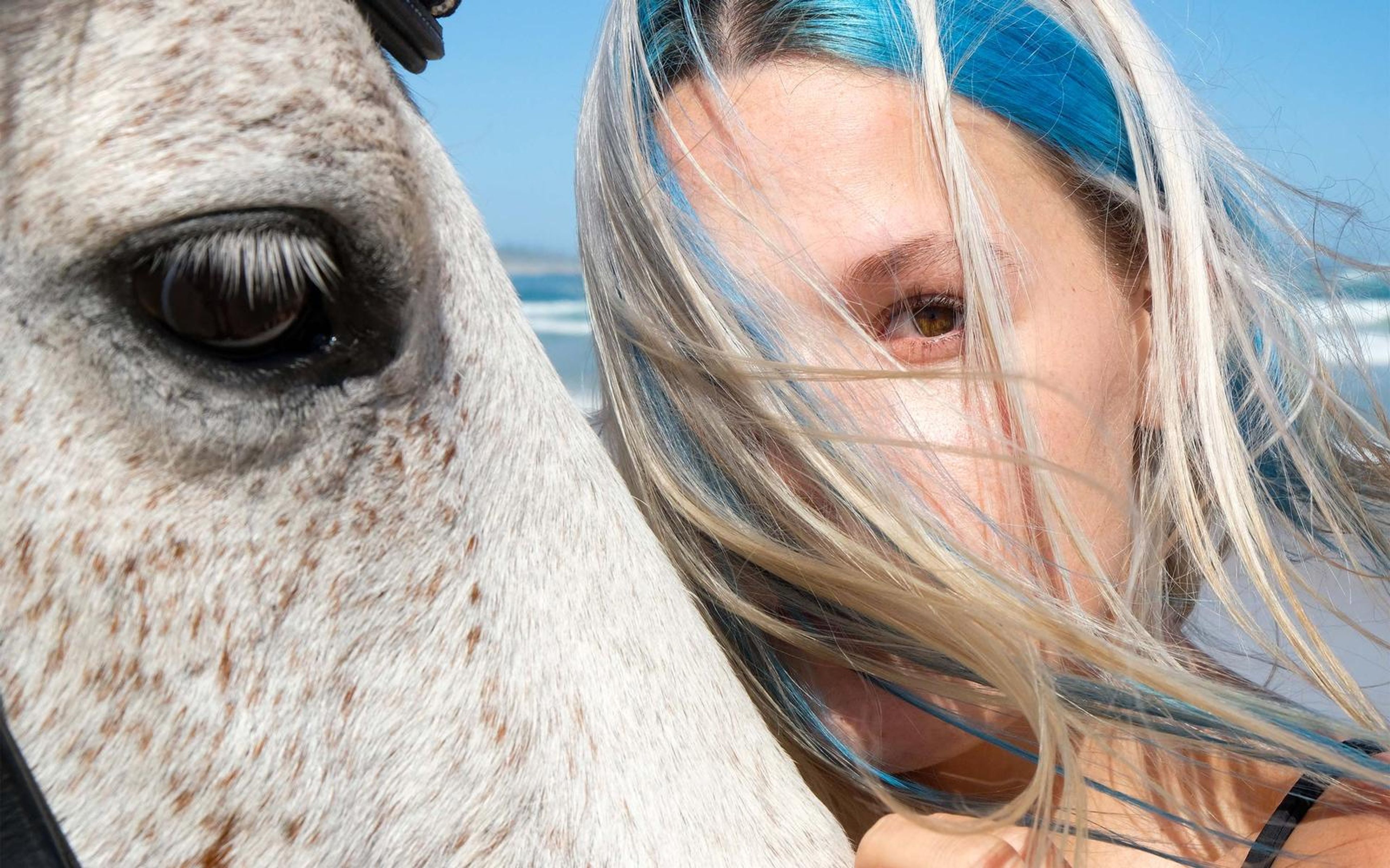 Horse's eye close to a woman's face half hidden by blowing hair, beach behind