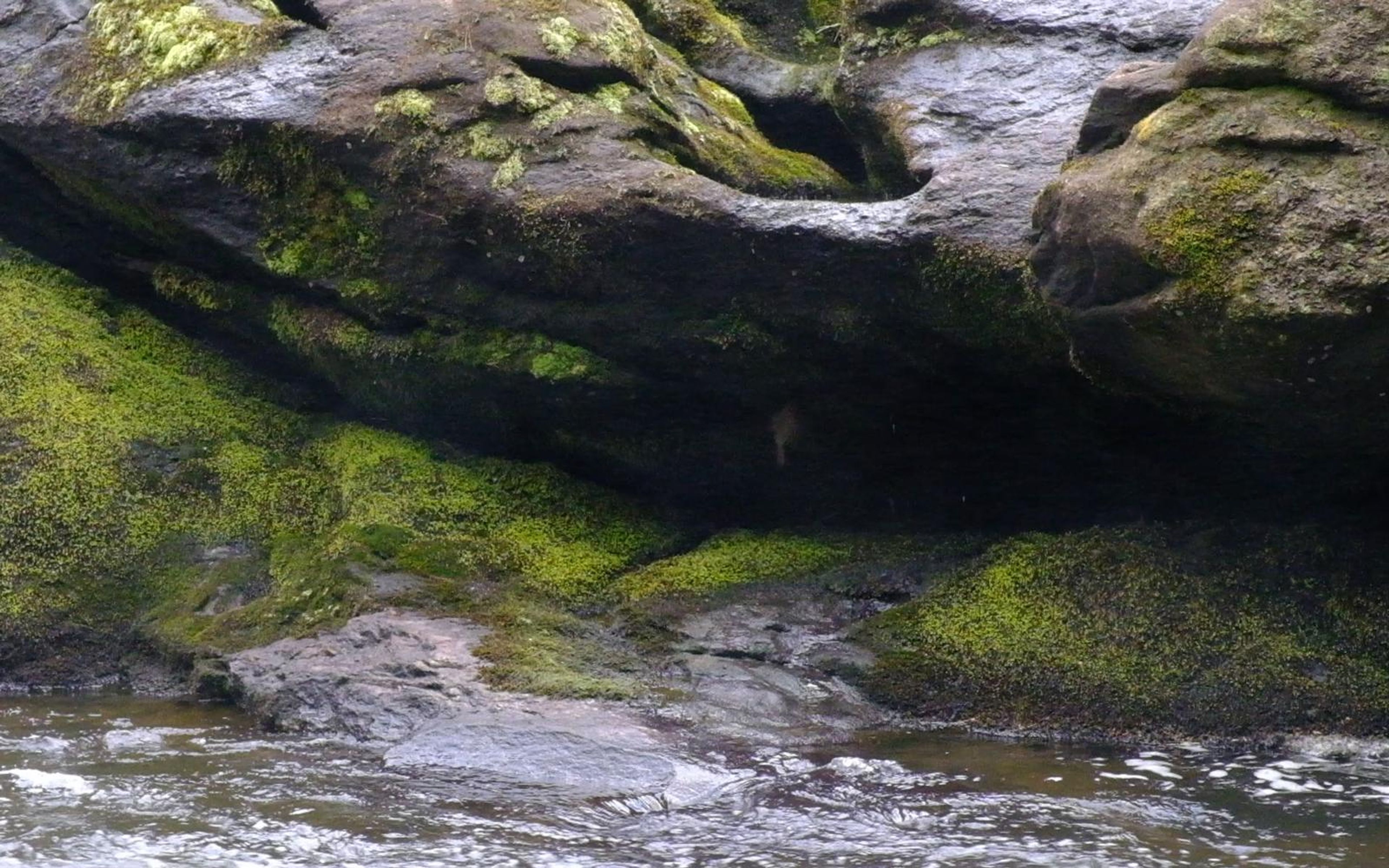 Mossy carved rock ledge beside the stream with water running below