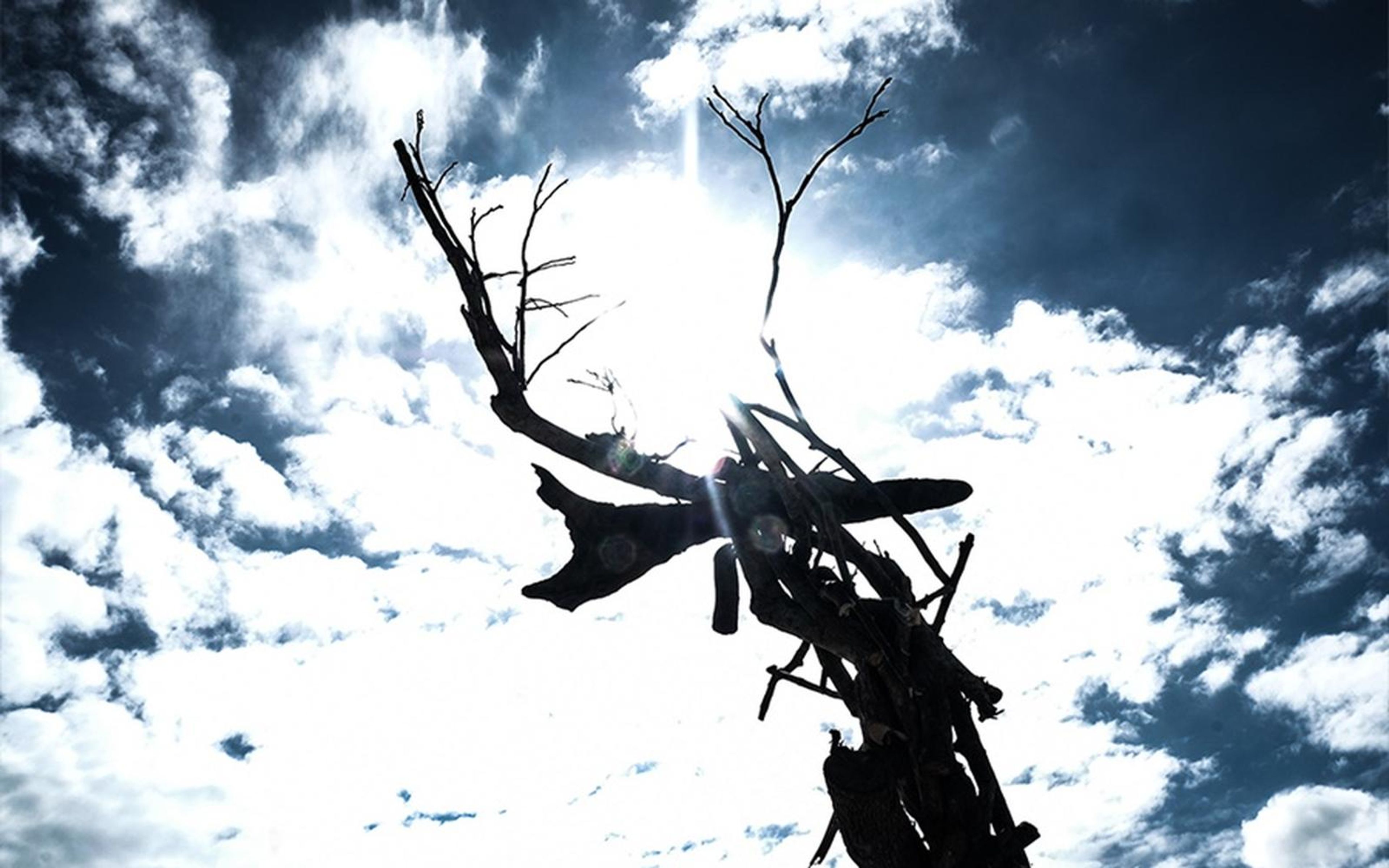 Looking up at a charred branch silhouetted against the bright sun and dark blue clouds