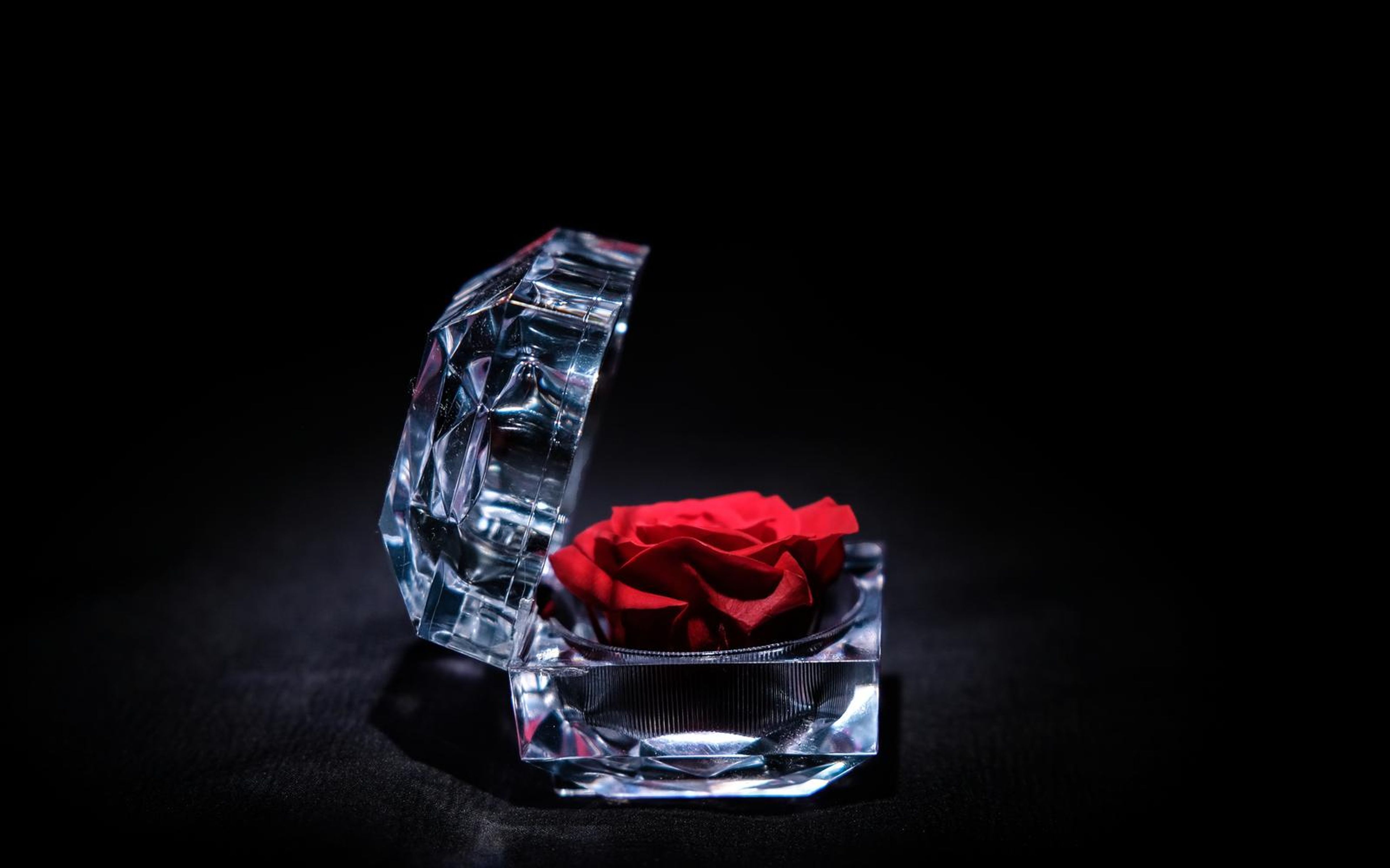 Faceted case with lid open and a red rose, lit in cool blue with a soft glow on the floor
