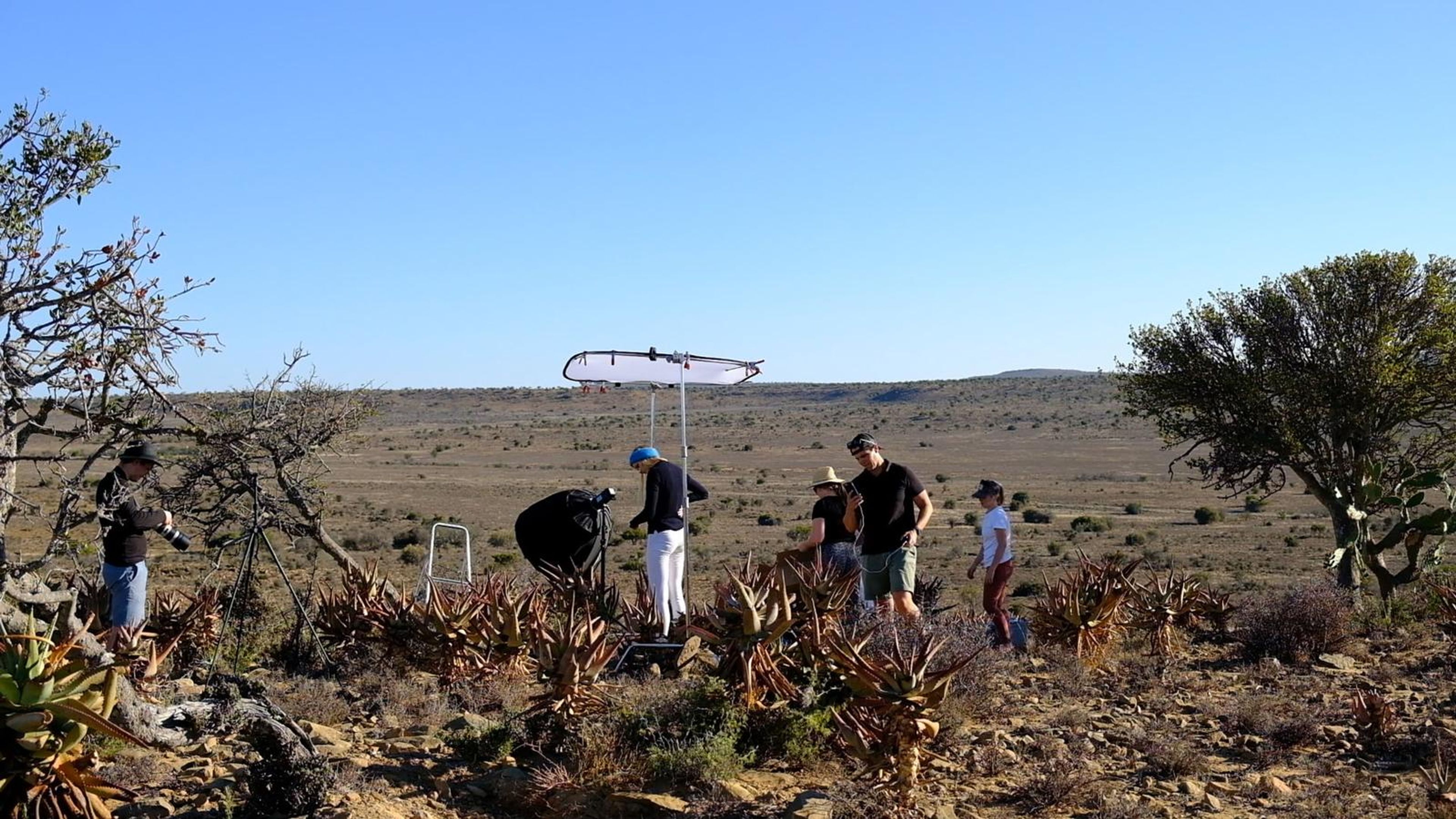 Wide view of the shoot among the aloes with a reflector and crew