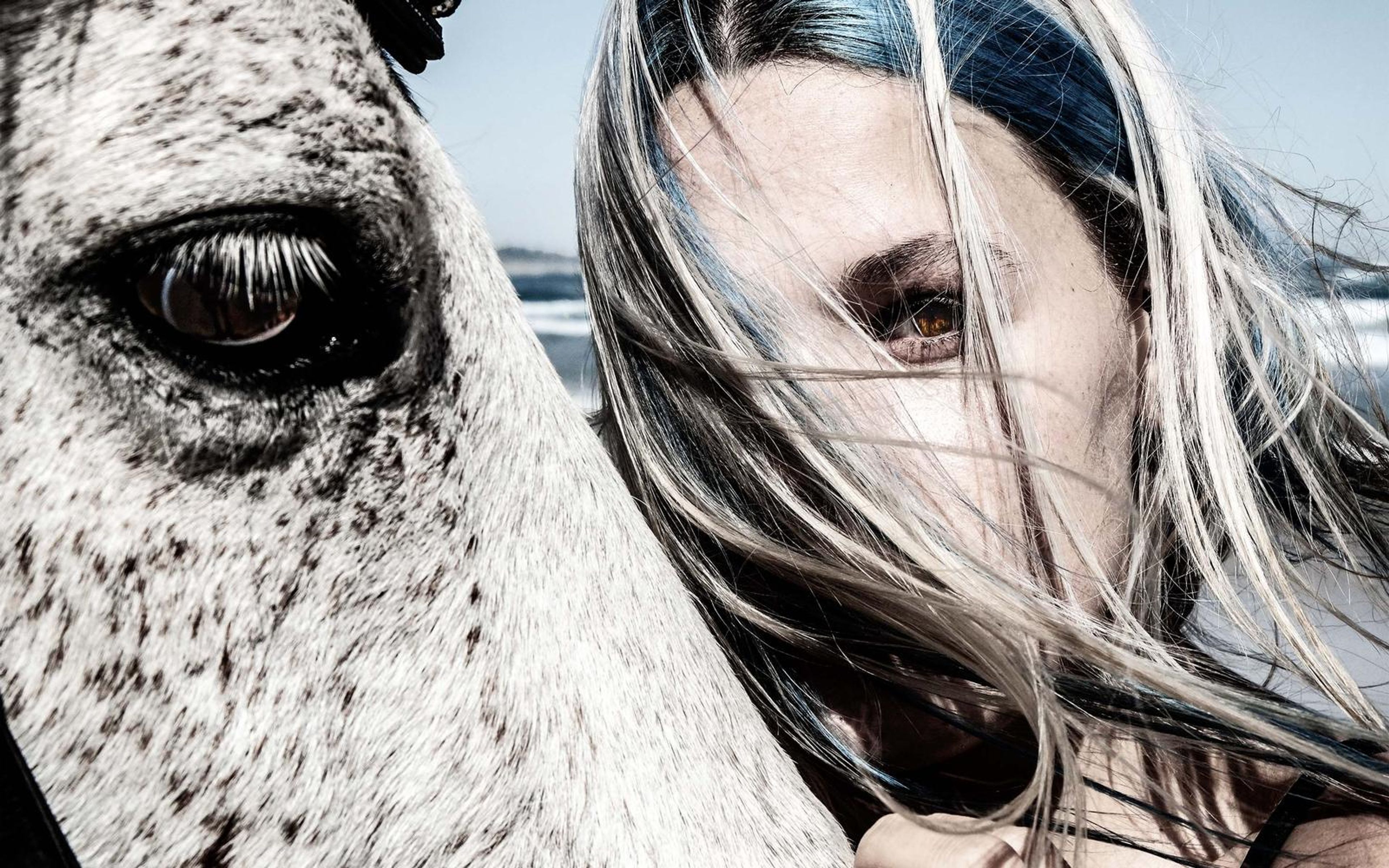 Horse's eye and a woman's face veiled by blowing hair, high-contrast edit
