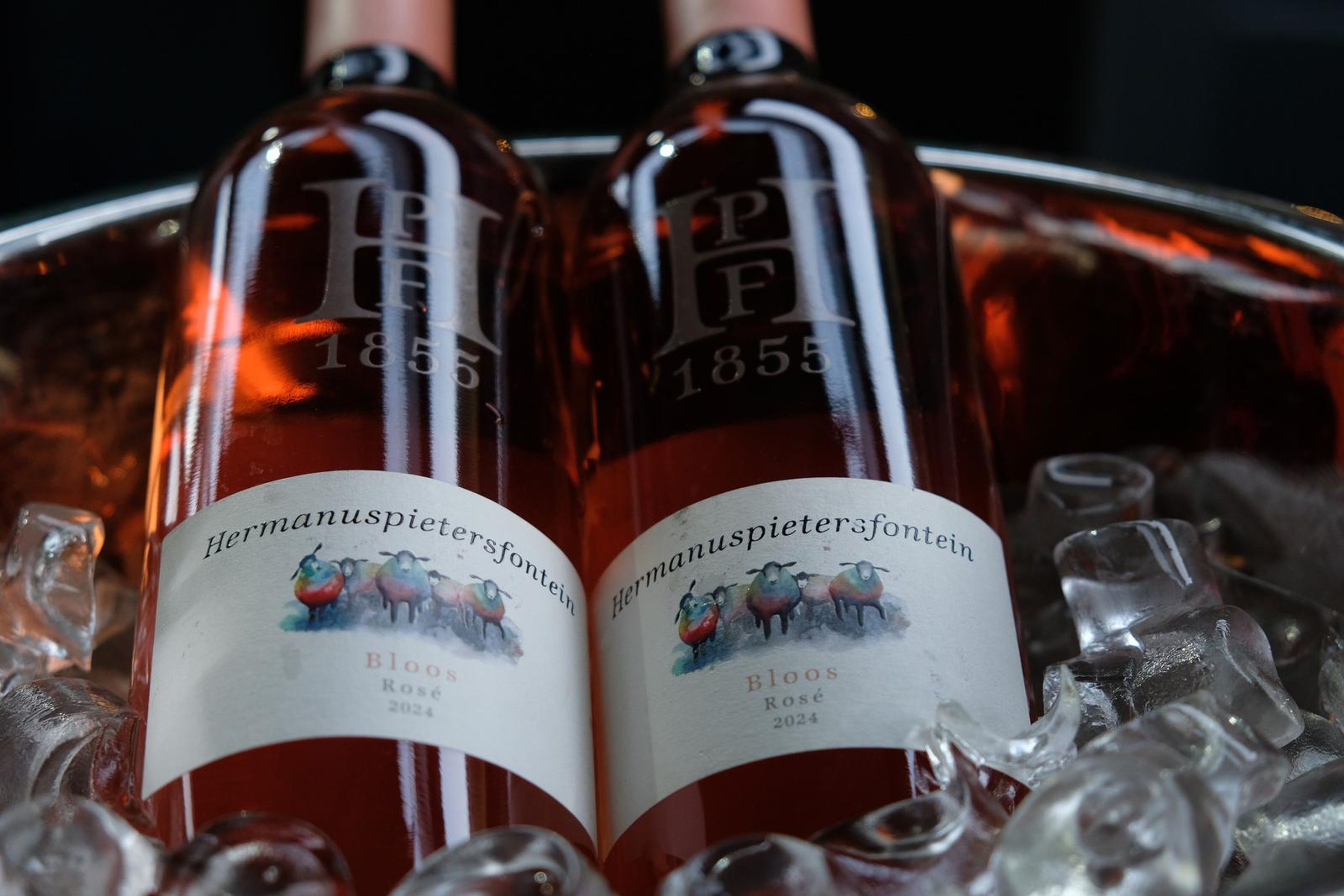 Two bottles of Hermanuspietersfontein rose chilling in ice at the opening