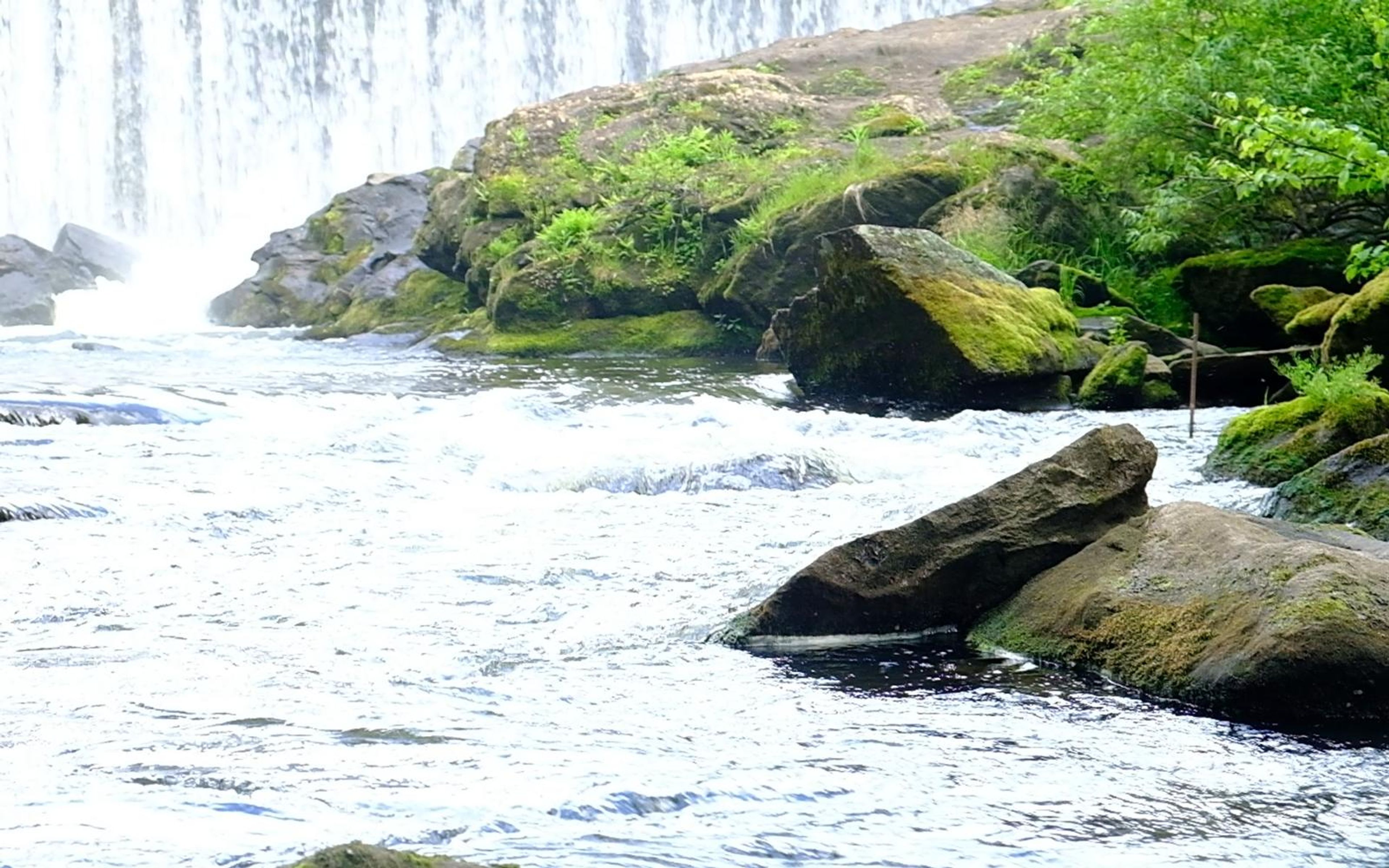 Rapids in the foreground with boulders and green moss below the white waterfall