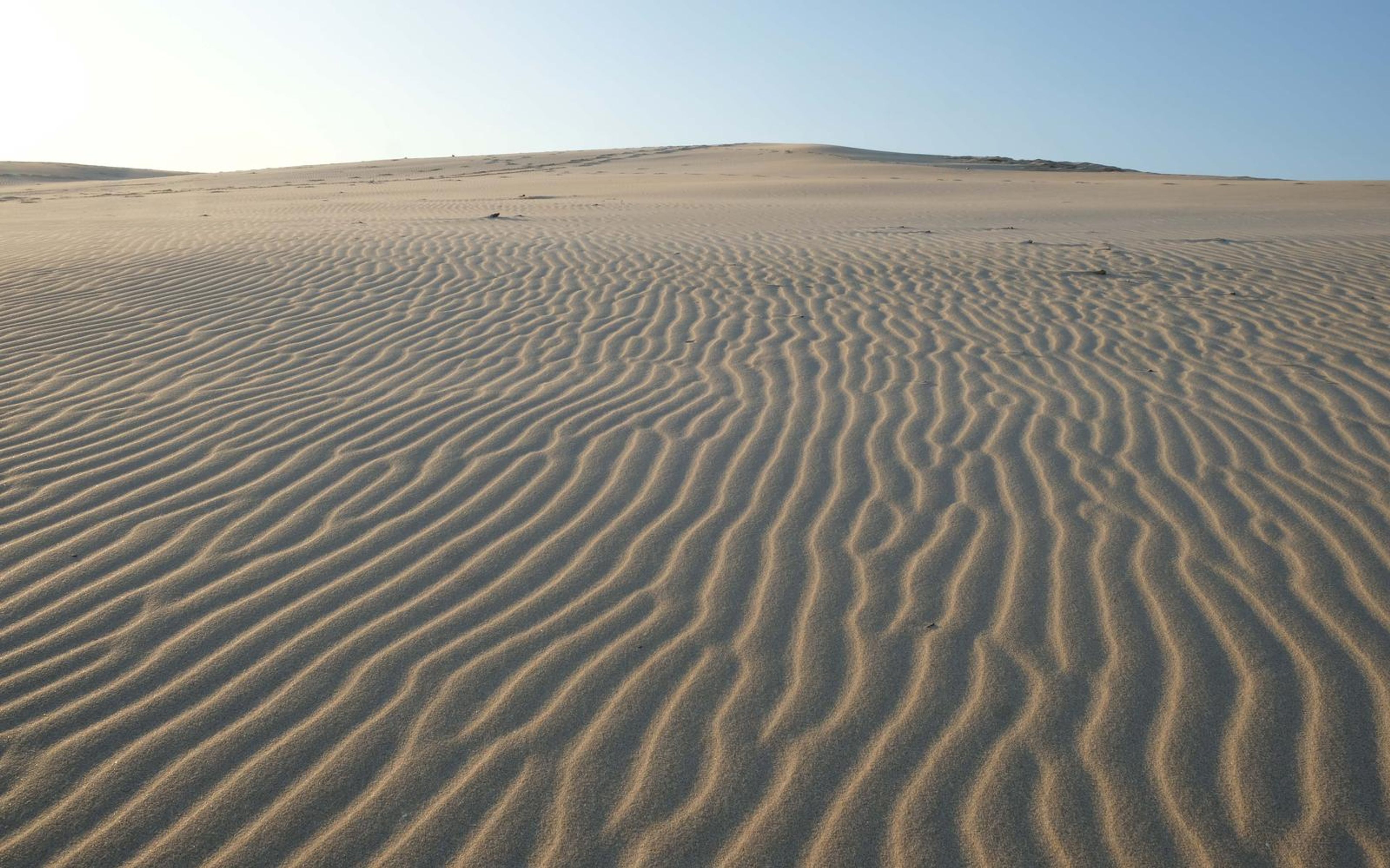 Wind-formed ripples across a wide sand slope in golden light