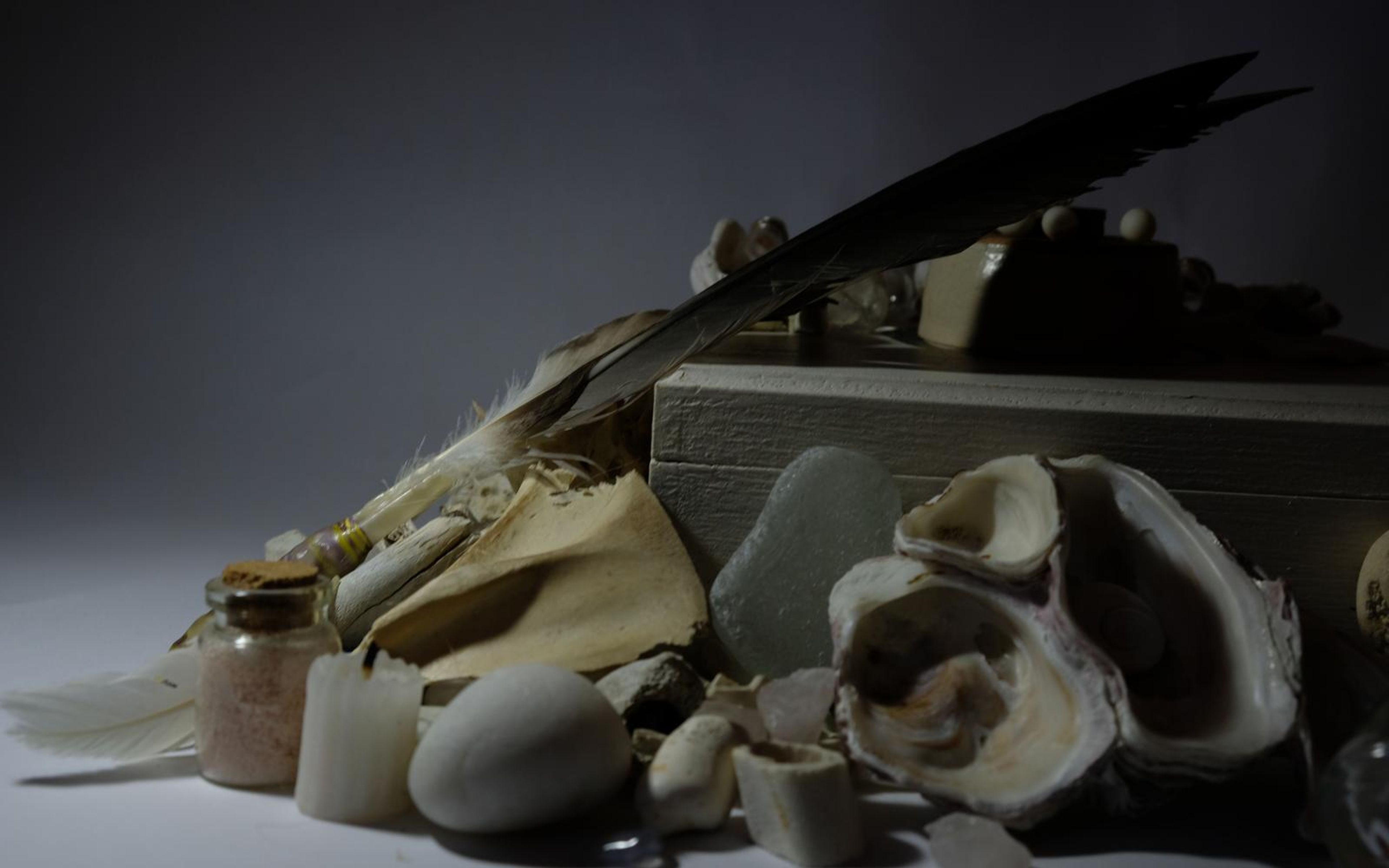 Still life of an open shell, bones, a feather, a corked jar and a pale stone against a pale box in soft grey light