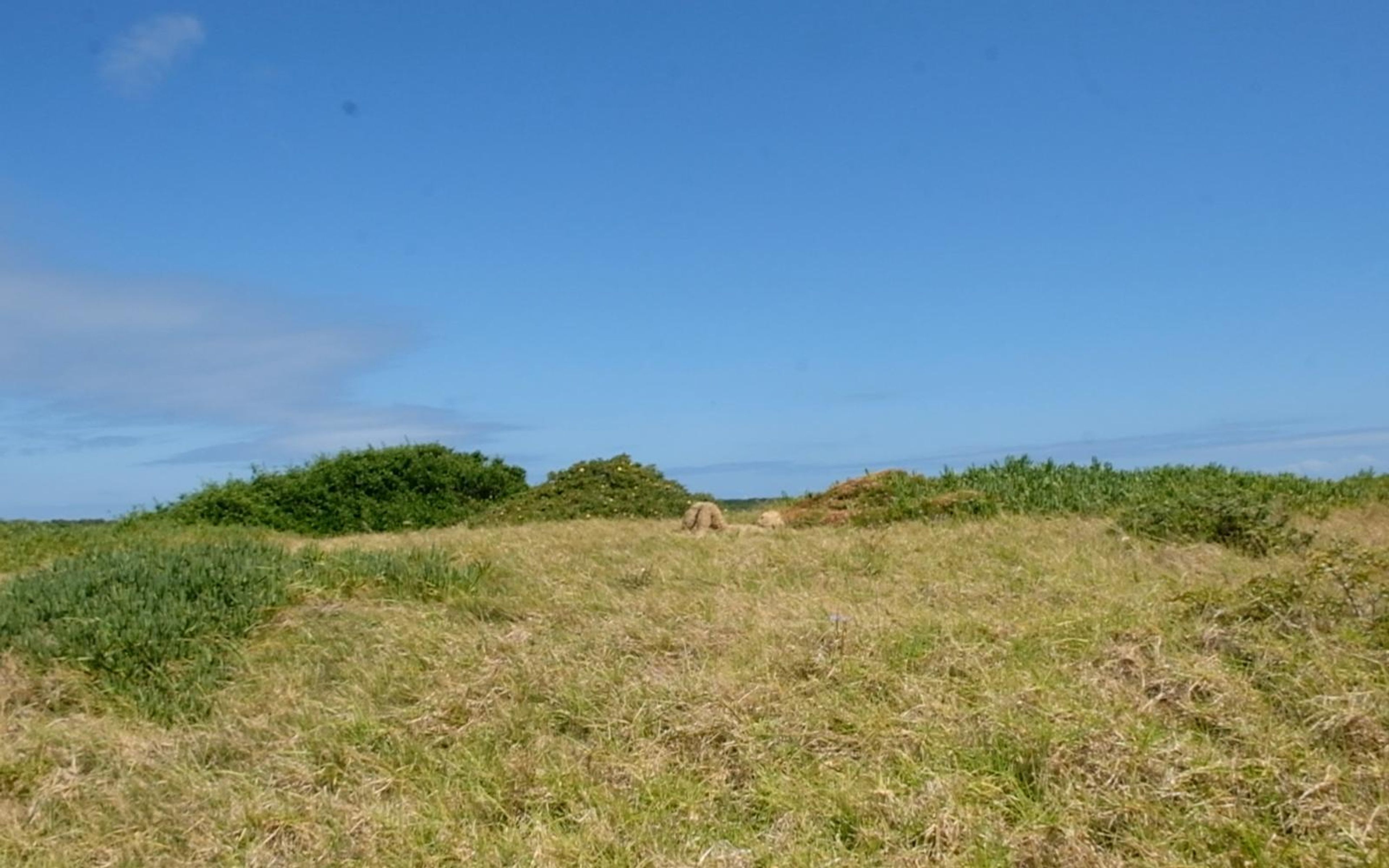 Open grassy field under blue sky with low clouds on the horizon