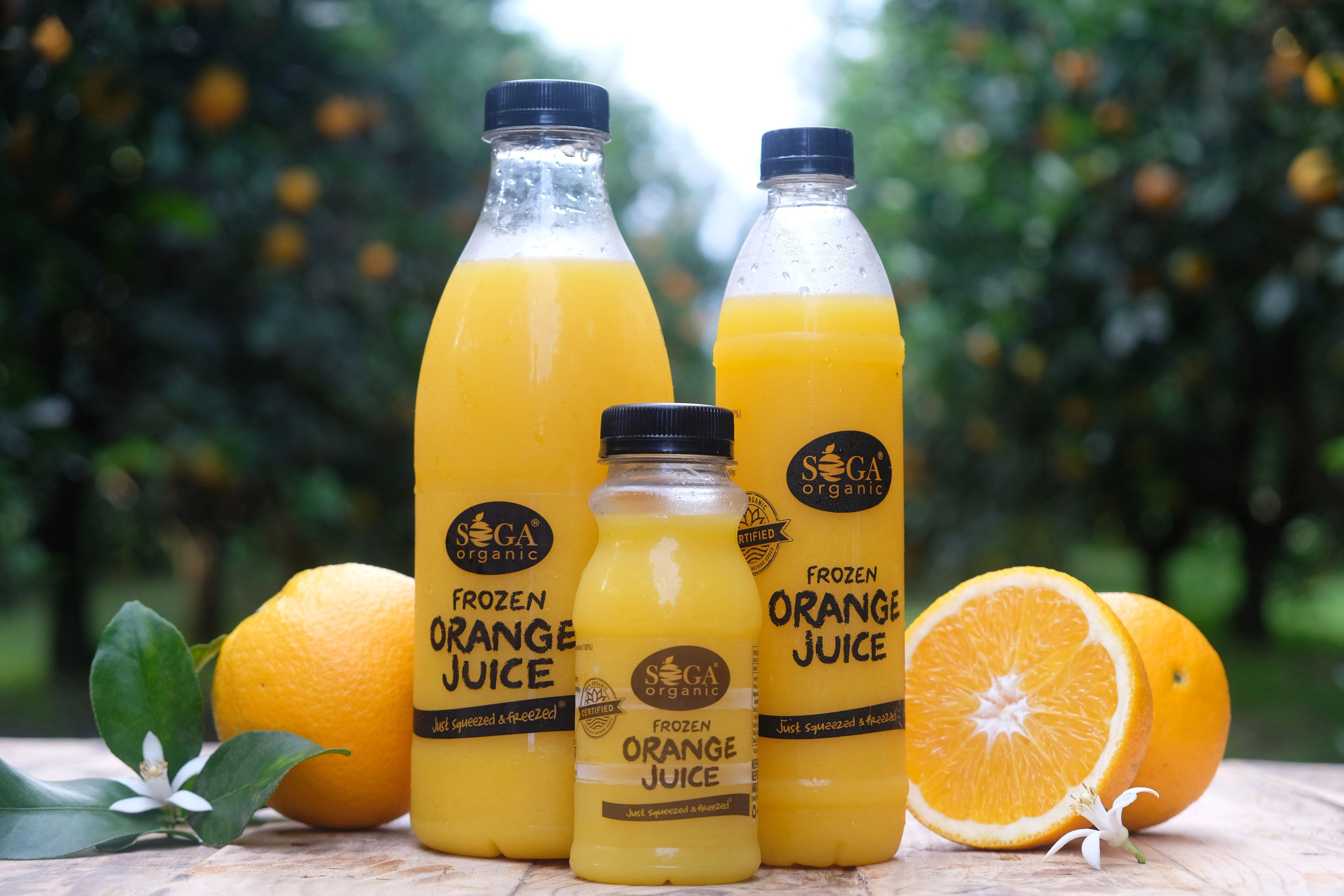 SOGA Organic's full frozen juice product range, orange, naartjie, ruby grapefruit, lime, and lemon juice, staged on a wooden table in the Kirkwood citrus orchard with fresh oranges in the foreground