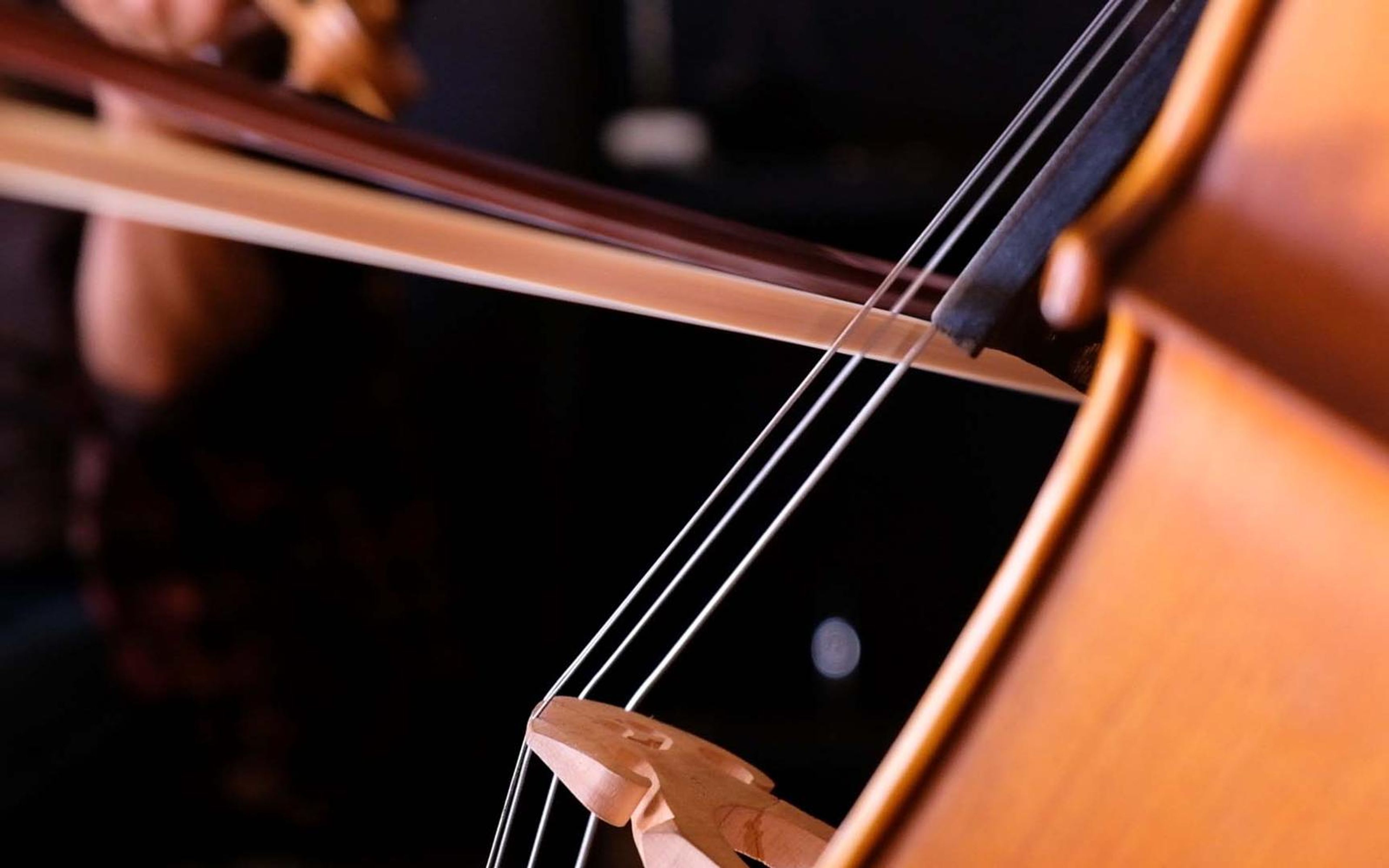 Bow resting on the strings of a large wooden string instrument against a dark background