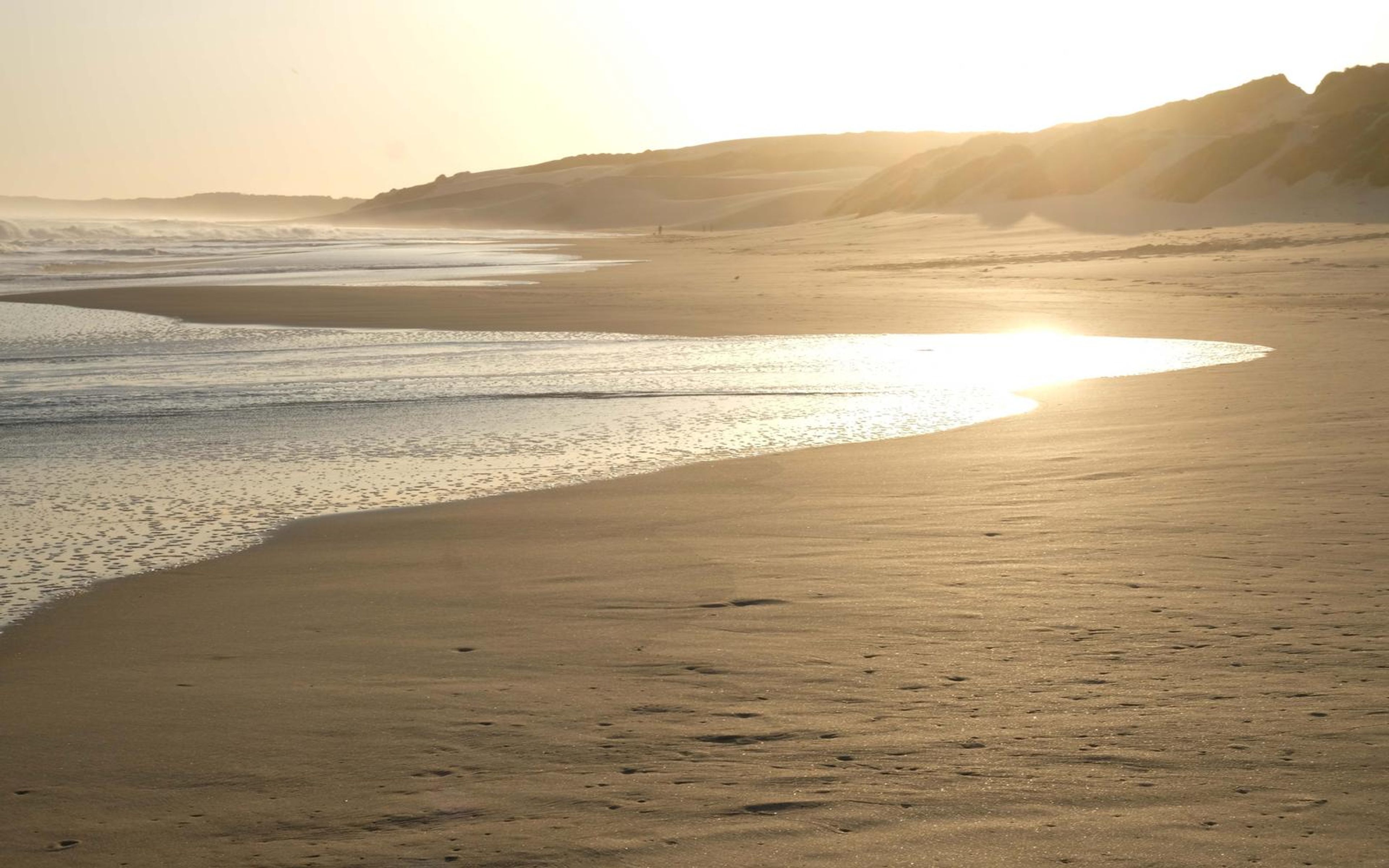 Shallow tidal water reflecting golden light along a curving shoreline